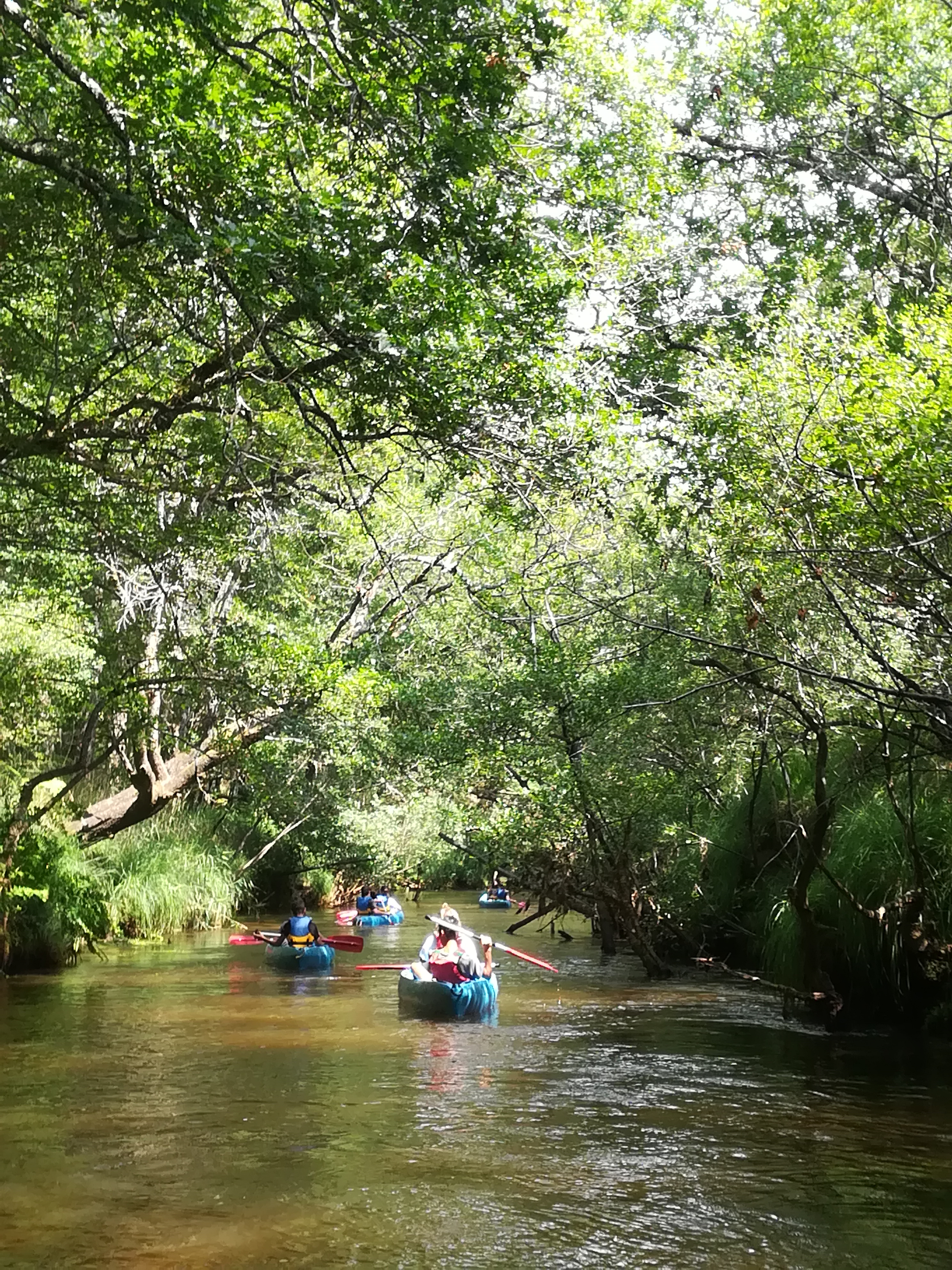 Base de loisirs de Testarouman - photo 2