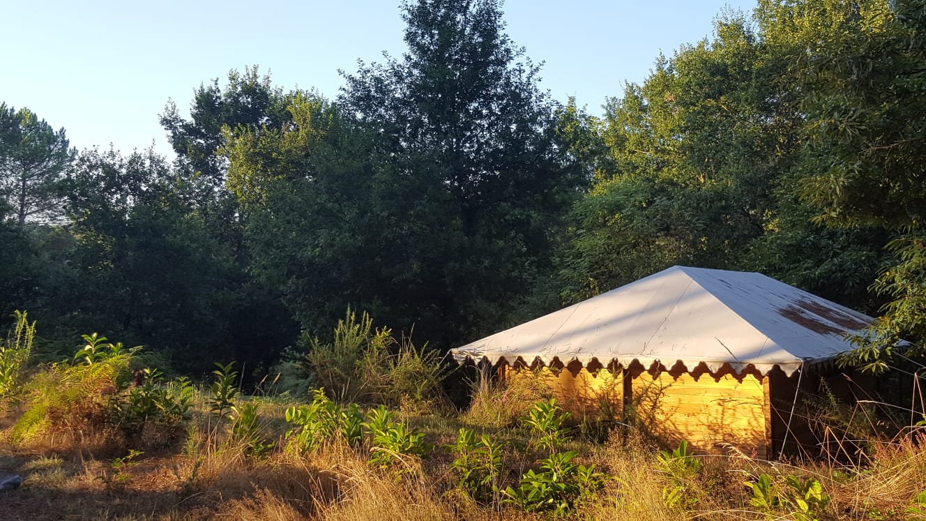 Palika Lodge, Castets - photo 7