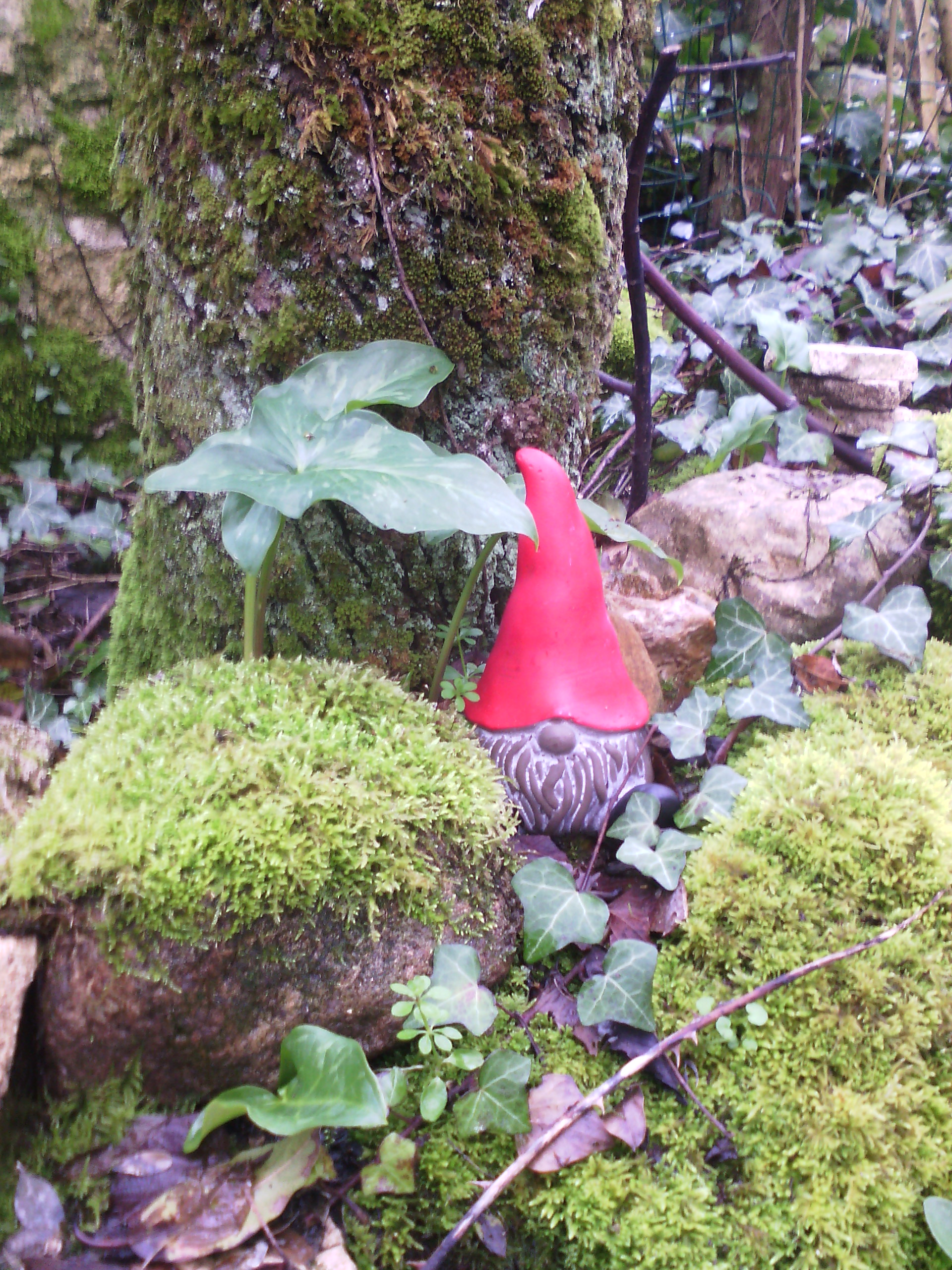 Le Petit Chambalon, Valdivienne - photo 7