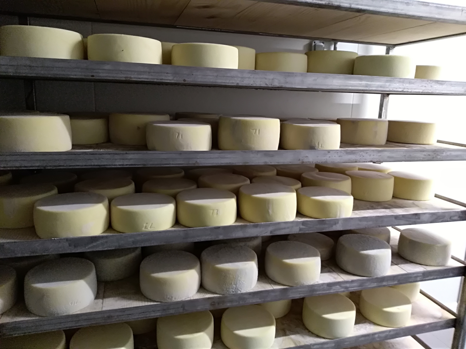 Visite de la ferme Etxepareborda, Béhorléguy - photo 7