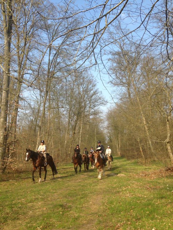 La Ferme de Sapharey