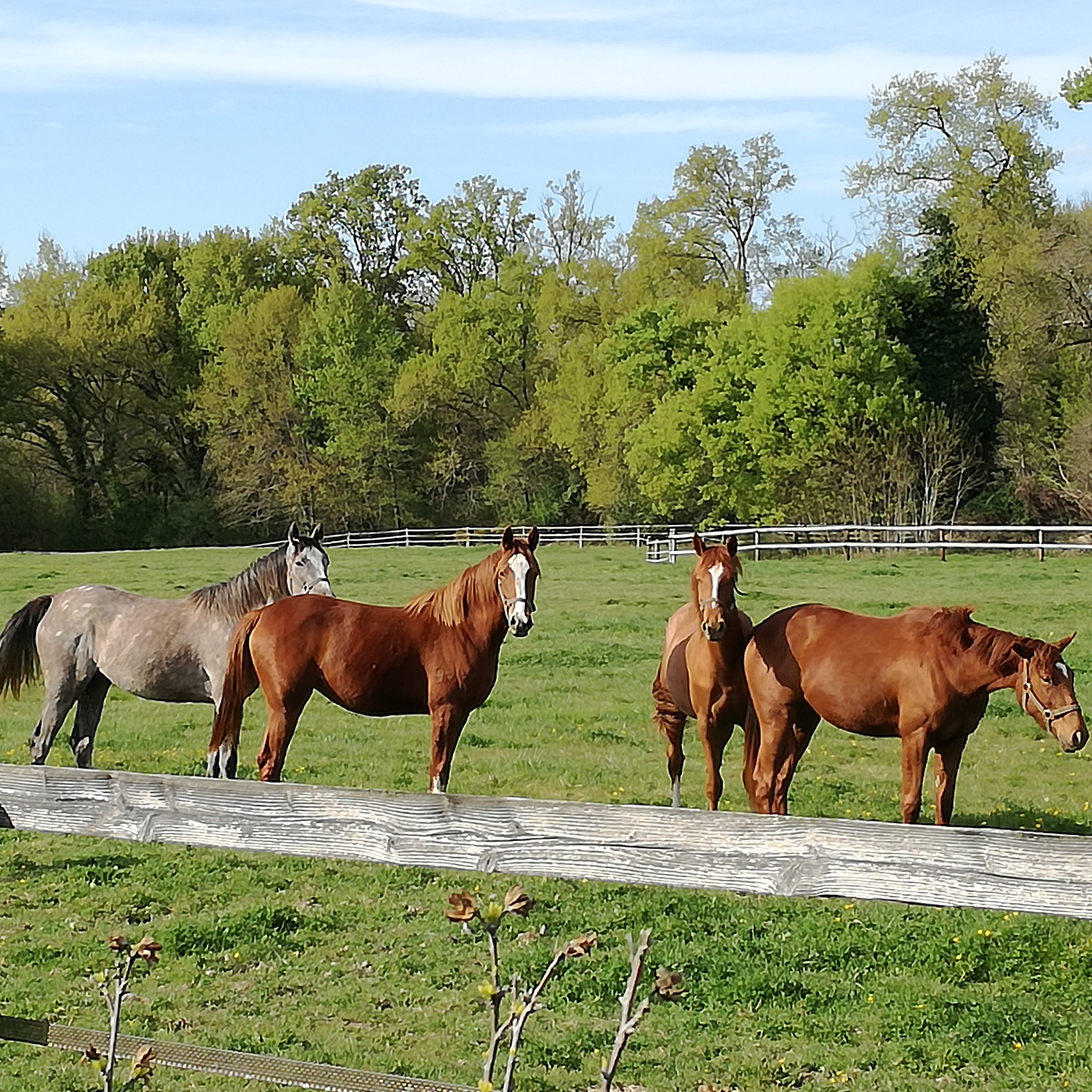 Le chai de Serres, Artassenx - photo 2