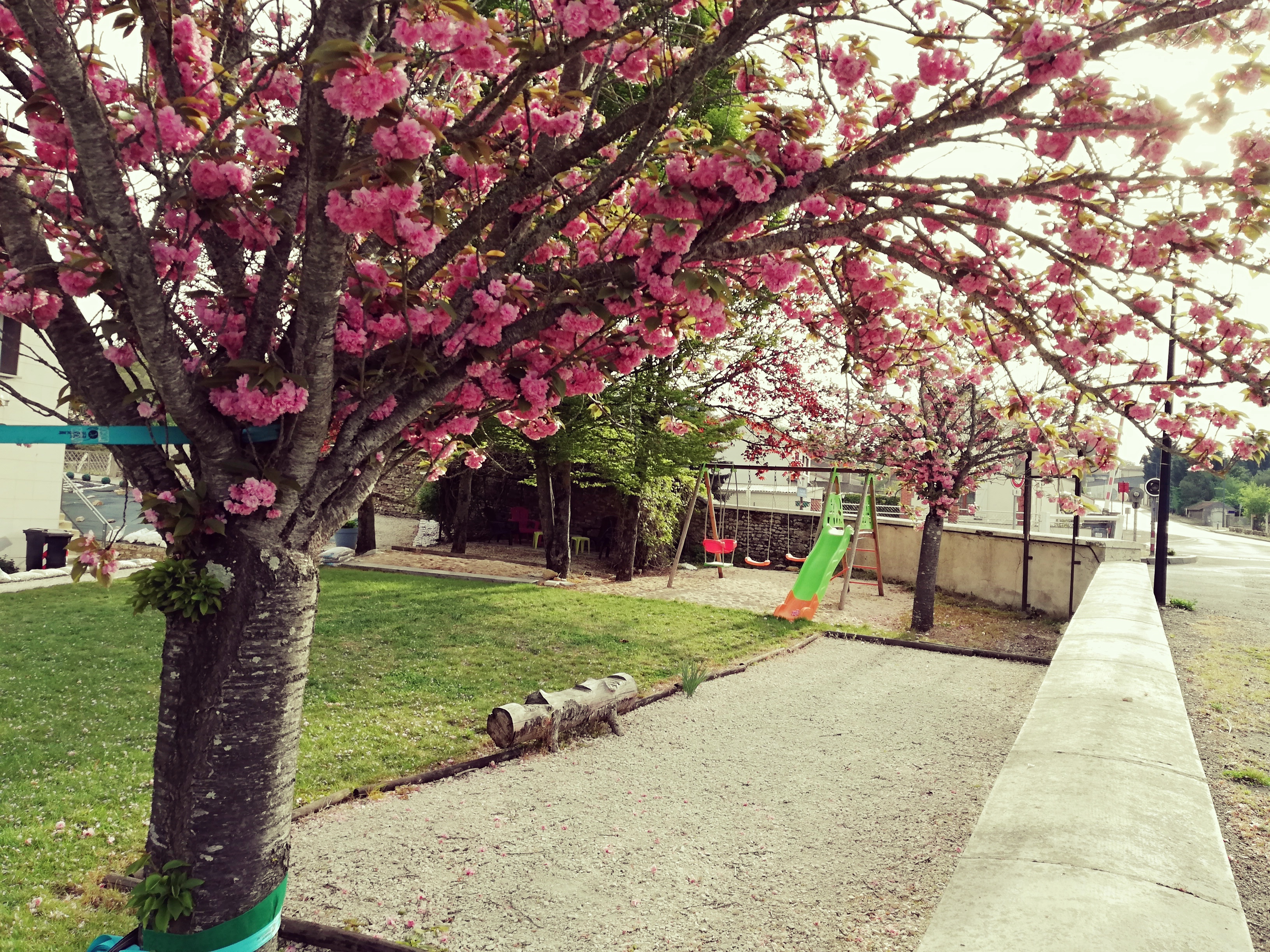 Les Gites du Thouet - photo 2