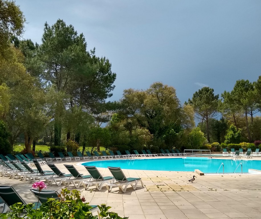 Appartement Albertine - photo 4