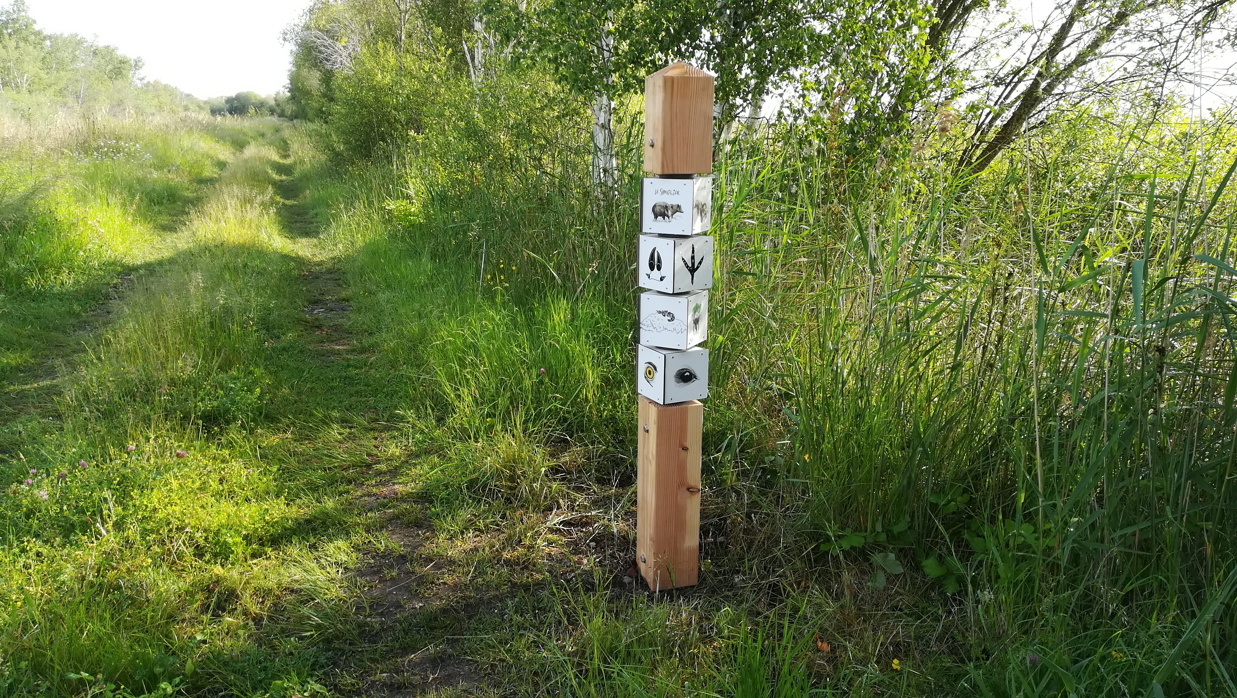 Le sentier des canaux - photo 4