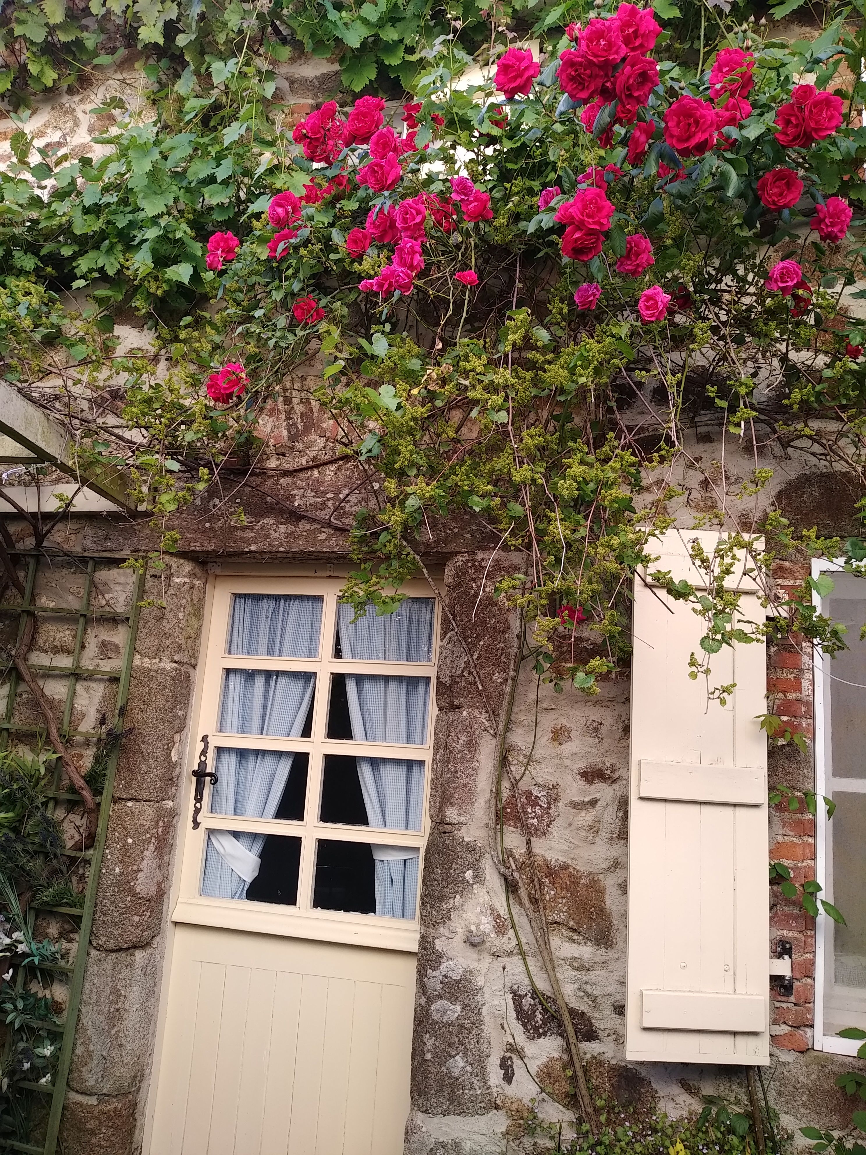 Gîte Bleu Charoul'Hôtes, Saint-André-sur-Sèvre - photo 8