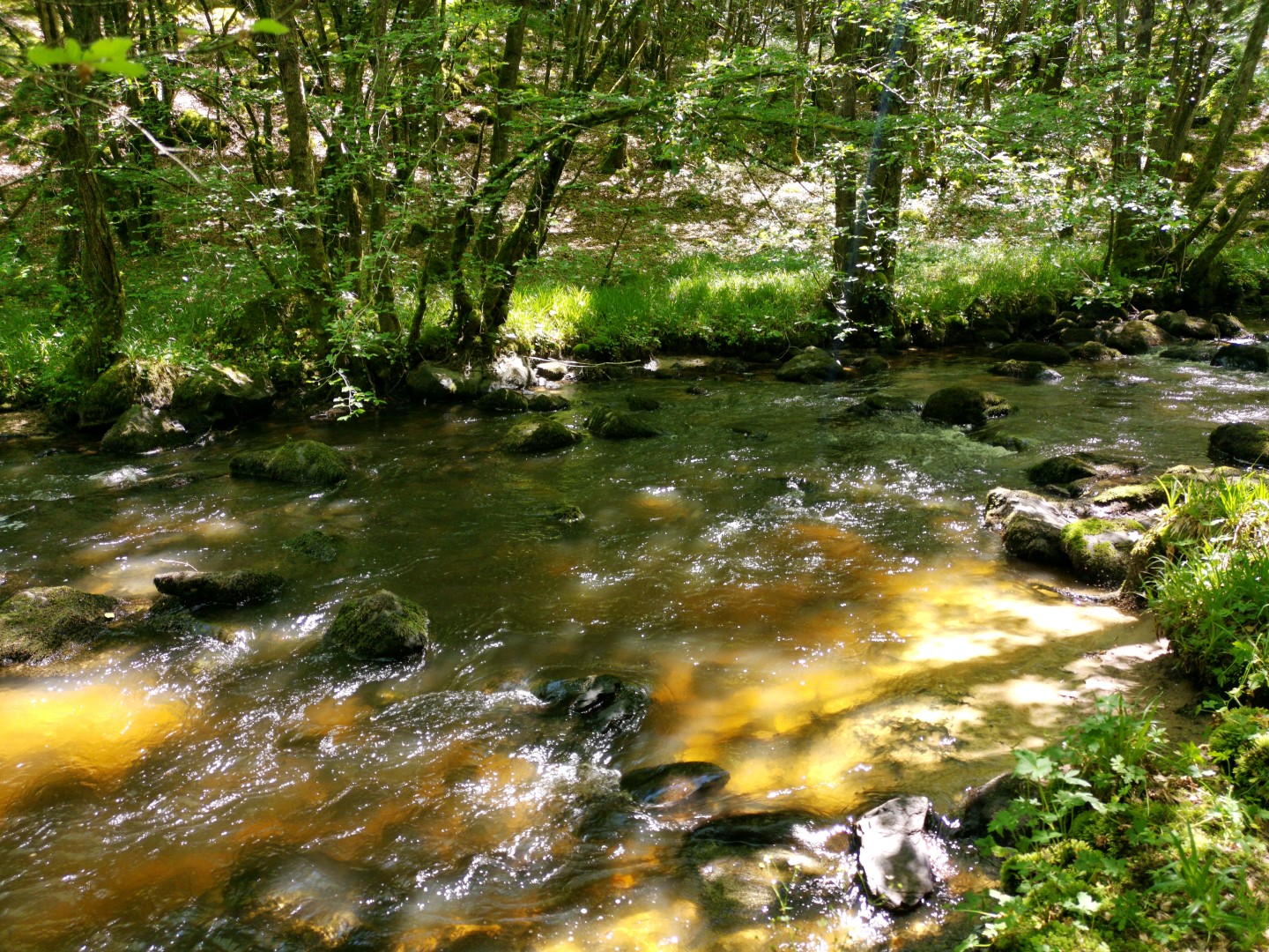 Circuit N°63 CC : Sentier "Histoire et Patrimoine", Saint-Amand-Jartoudeix