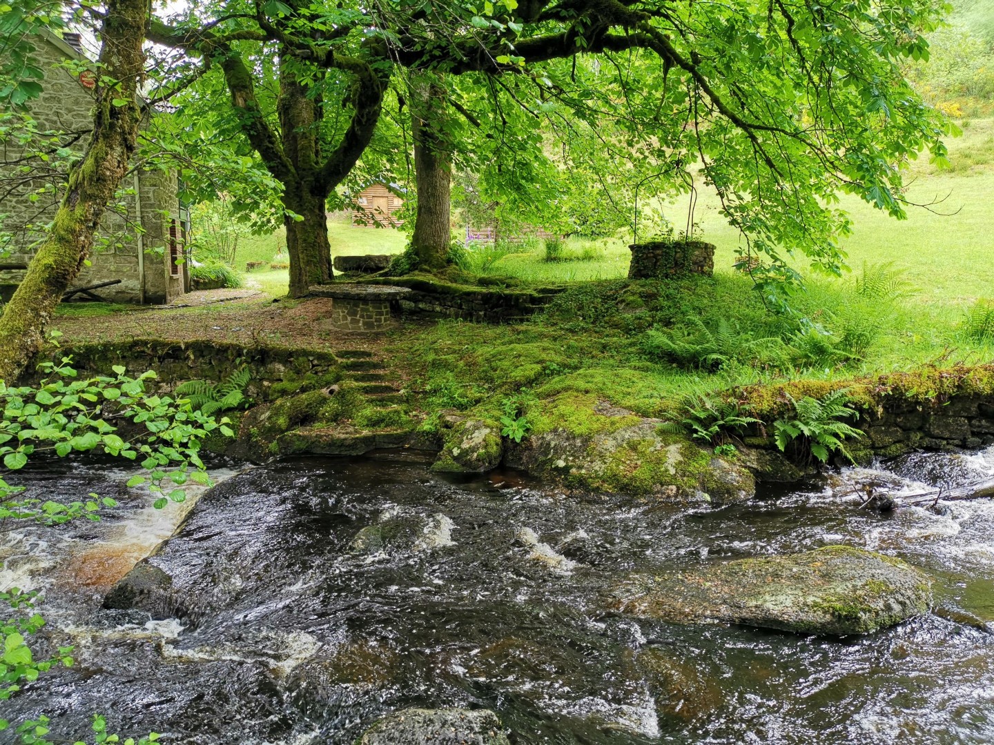 Circuit Pédestre N°21 CC : "Sentier de découverte de la Rigole du Diable", Le Monteil-au-Vicomte - photo 3