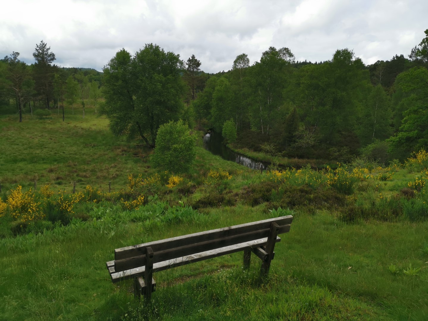 Circuit Pédestre N°22 CC : "Sentier de découverte des landes et tourbières de la Mazure : Grande boucle", Le Monteil-au-Vicomte - photo 6