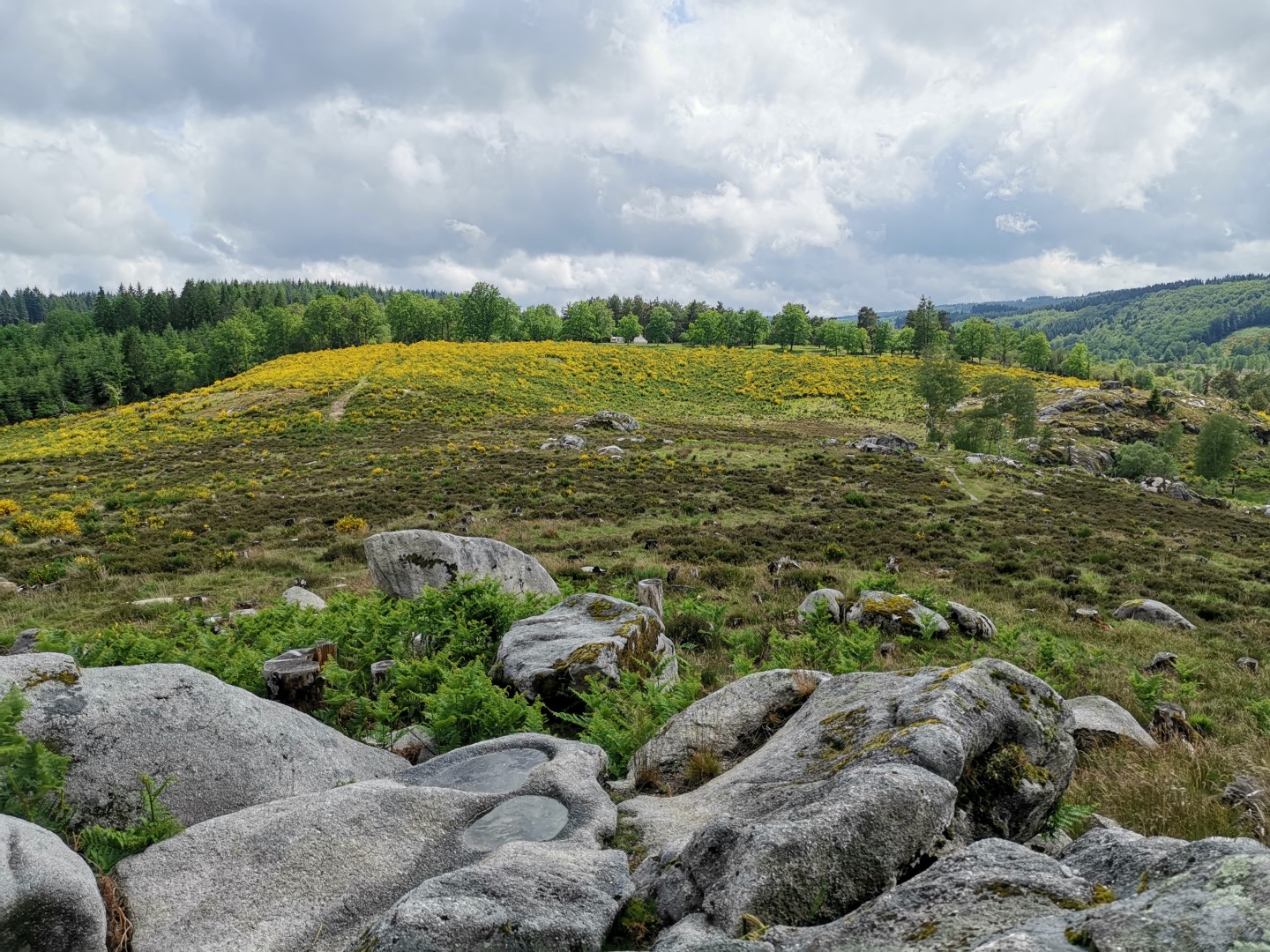 Circuit Pédestre N°22 CC : "Sentier de découverte des landes et tourbières de la Mazure : Grande boucle"
