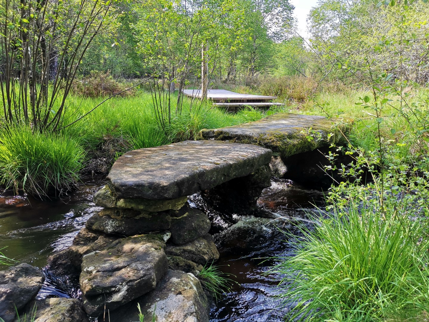 Circuit Pédestre N°22 CC : "Sentier de découverte des landes et tourbières de la Mazure : Grande boucle", Le Monteil-au-Vicomte - photo 4