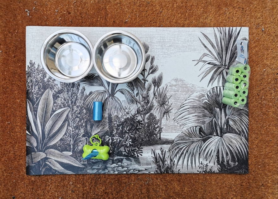 Authentique Gîte 1950 Poitiers-Futuroscope - photo 5