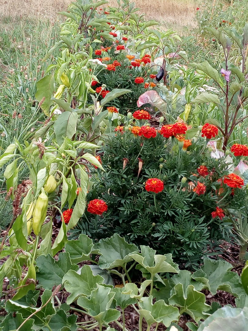 Les Jardins du Clos