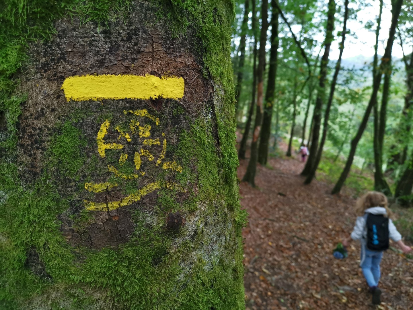 Livret jeu "Sam le Renard" aux Cascades d'Augerolles - photo 5