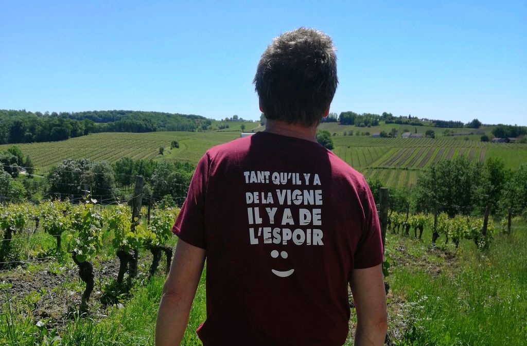 Domaine de Pécoula - photo 4