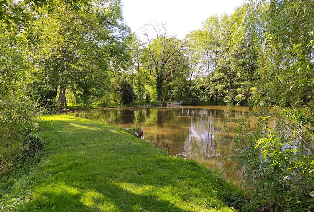 Carpodrome de la Jugie, Séreilhac - photo 2