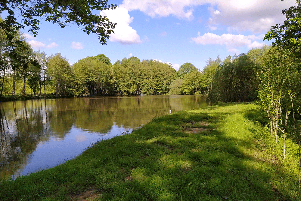 Carpodrome de la Jugie, Séreilhac - photo 5