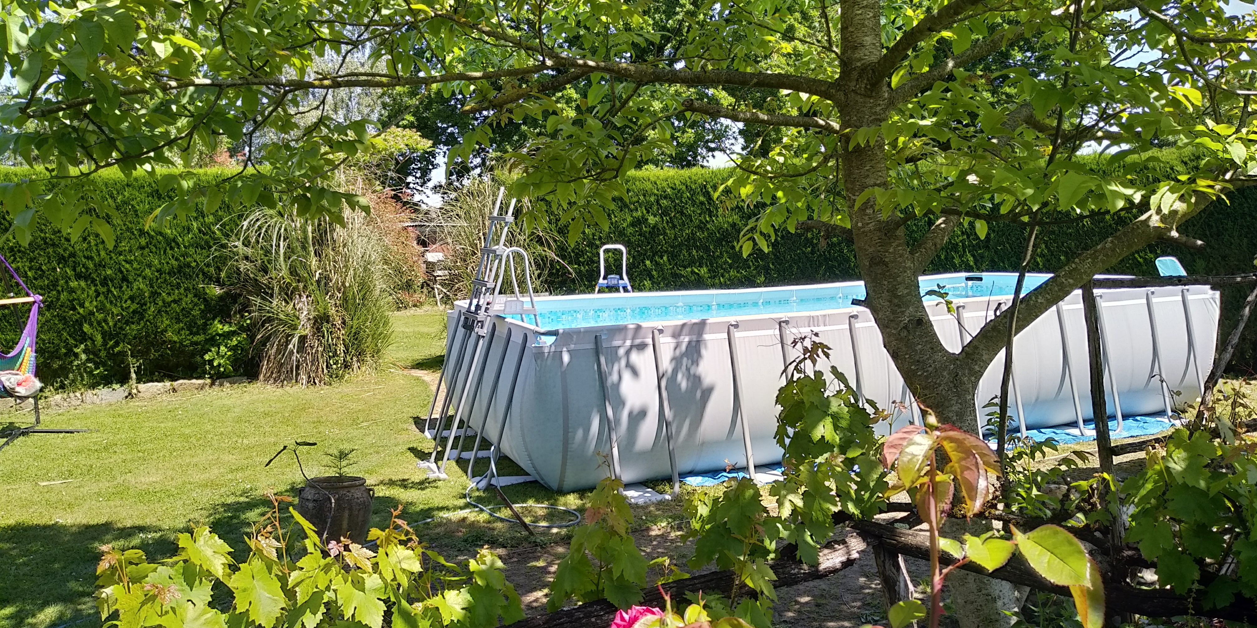 Gîte Bleu Charoul'Hôtes, Saint-André-sur-Sèvre - photo 4