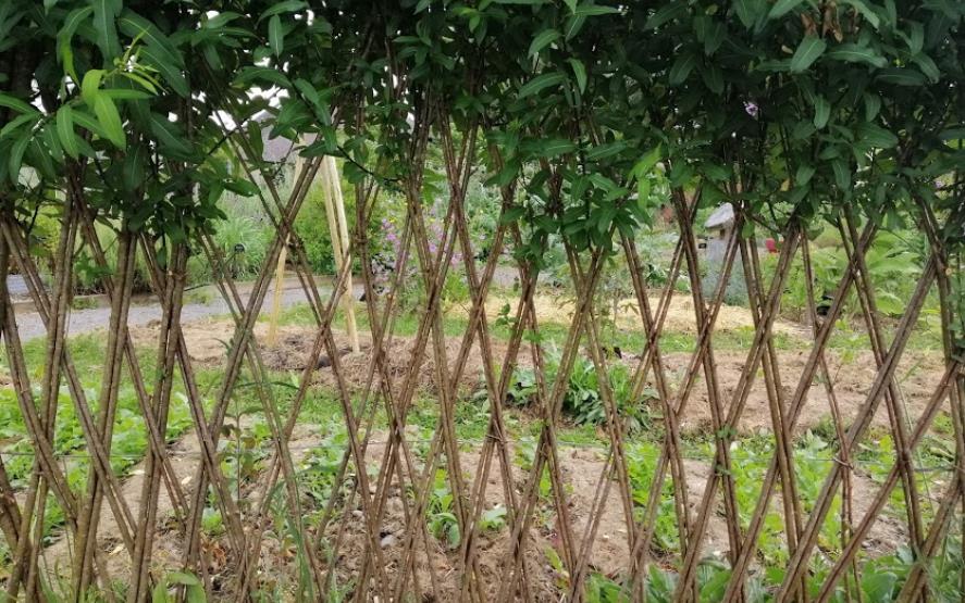 Image de présentation du lieu