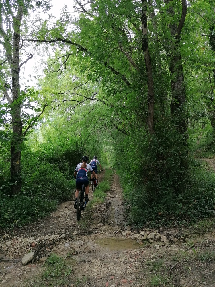Circuit VTT n°14 - Coeur de Pays