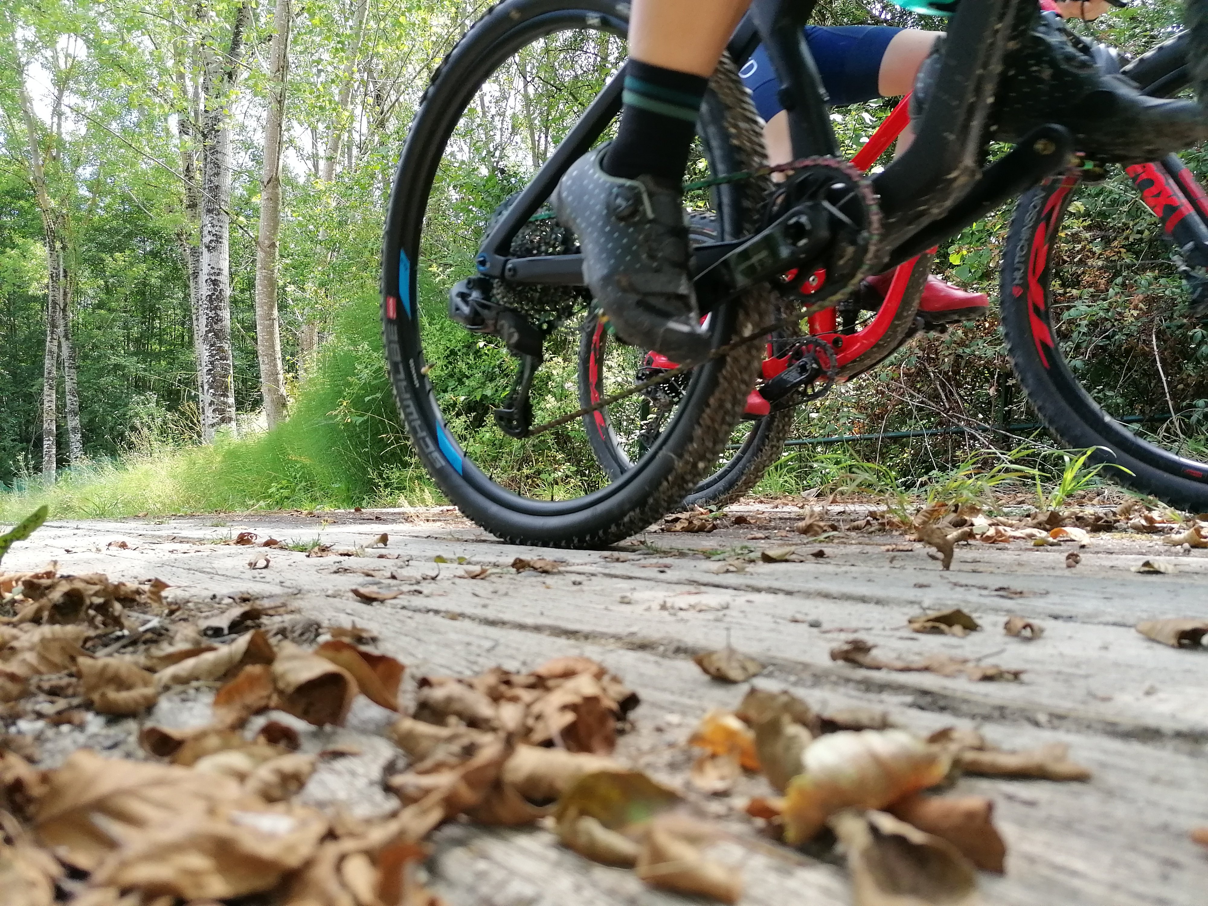 Site VTT-FFC Entre Lot et Garonne — photo 3