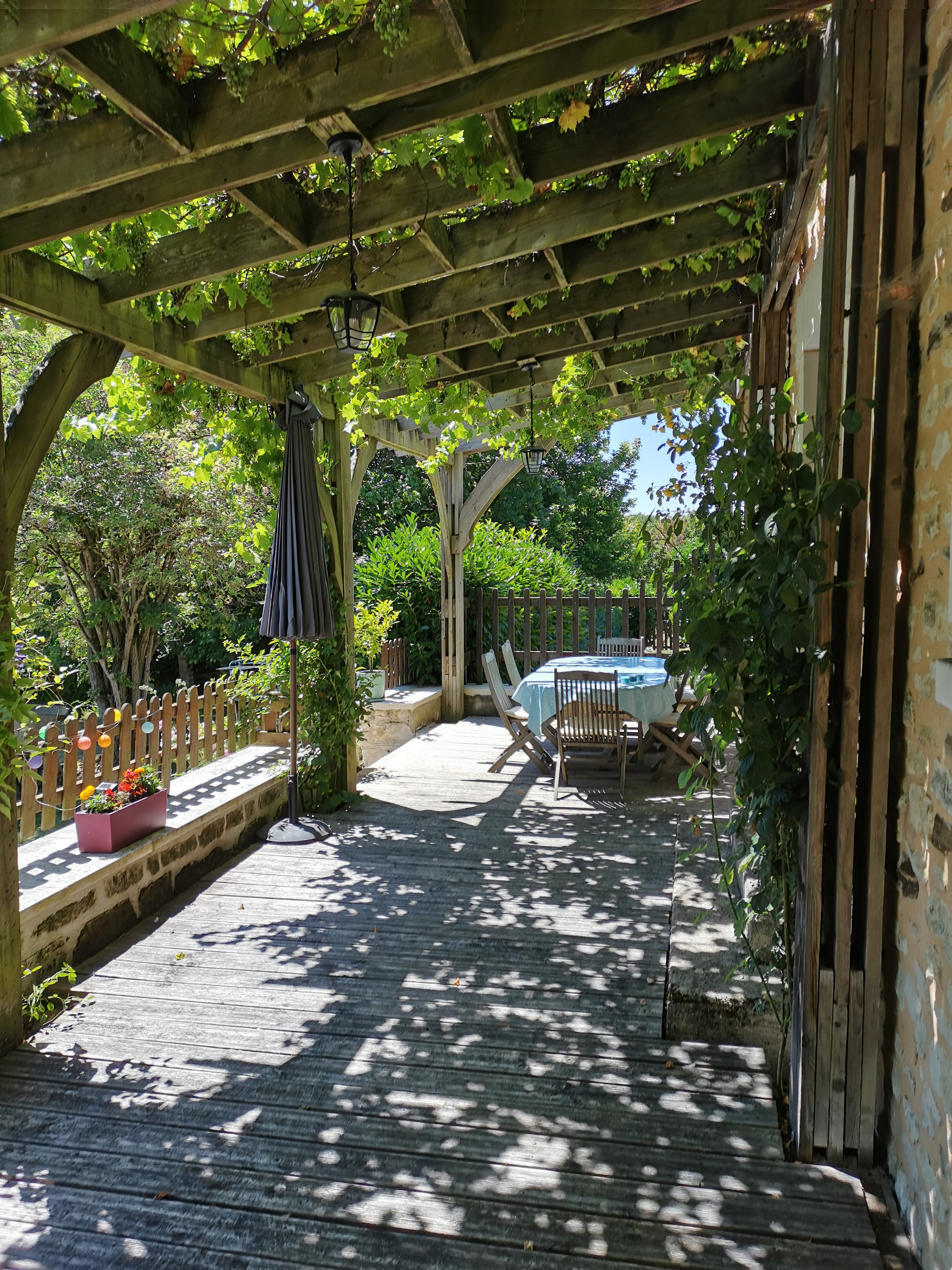 Domaine des Petites Minaudières, Senillé-Saint-Sauveur - photo 5