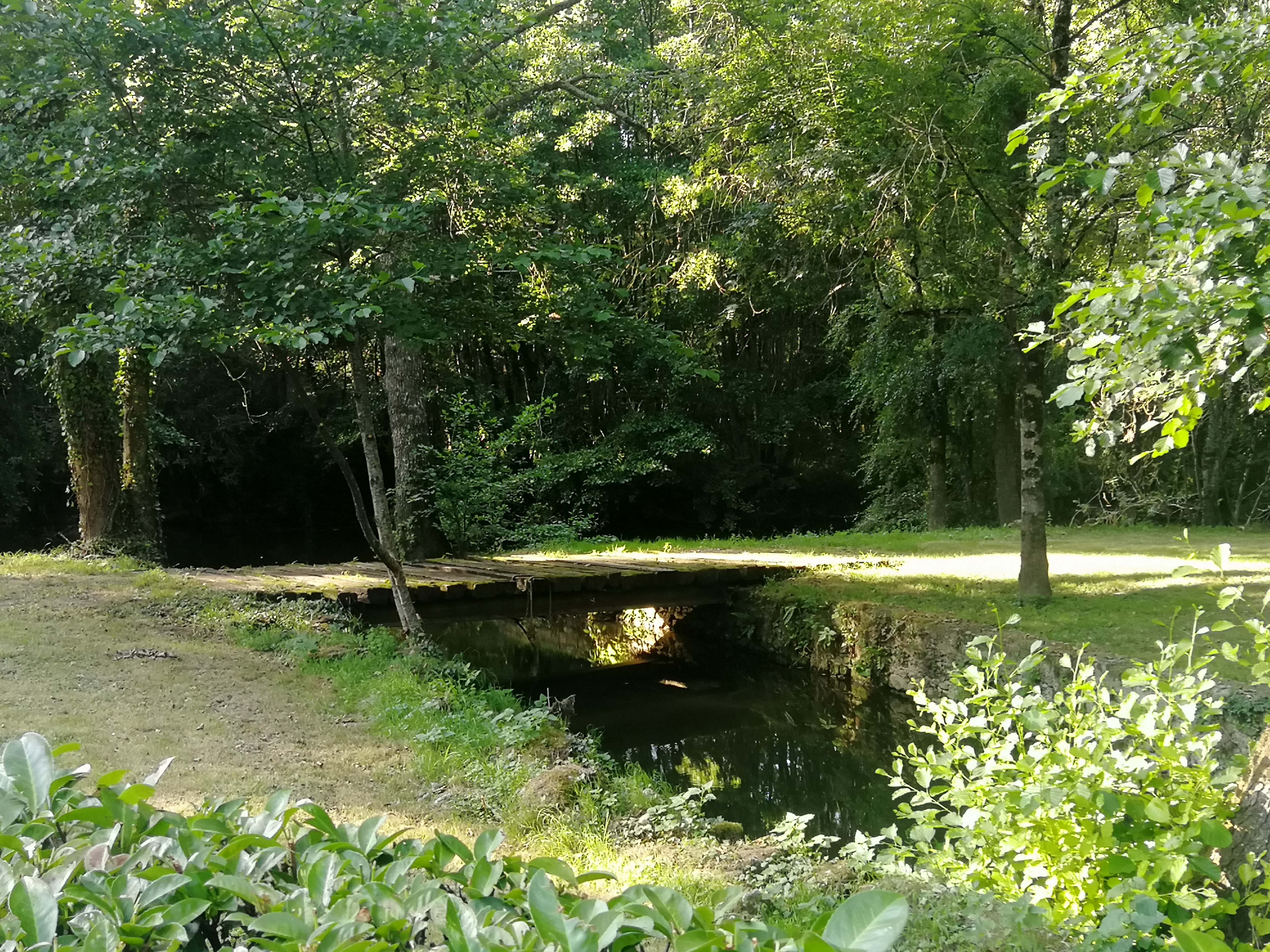 Gite de la Roche, Saint-Pompain - photo 10