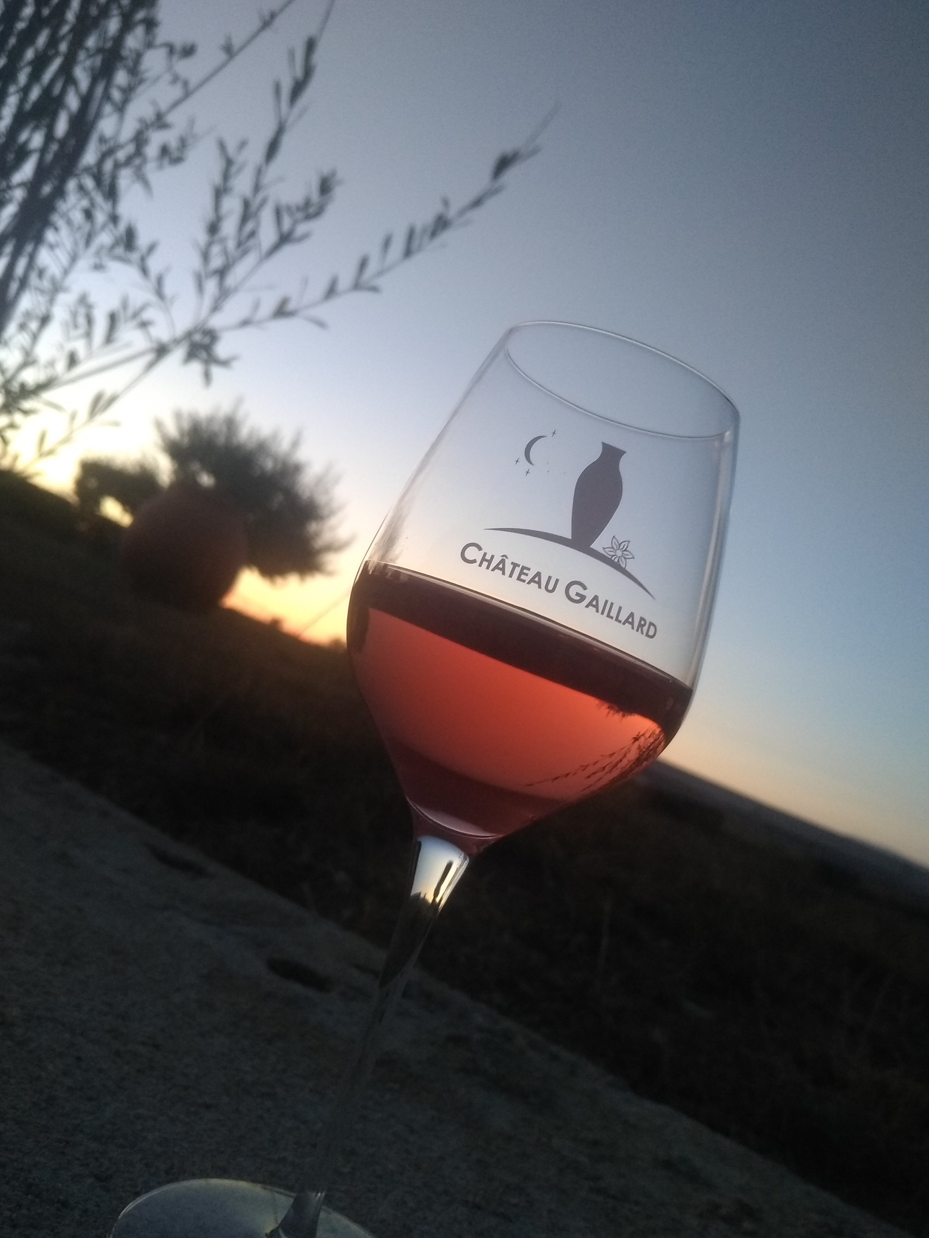 EARL Château Gaillard - photo 3