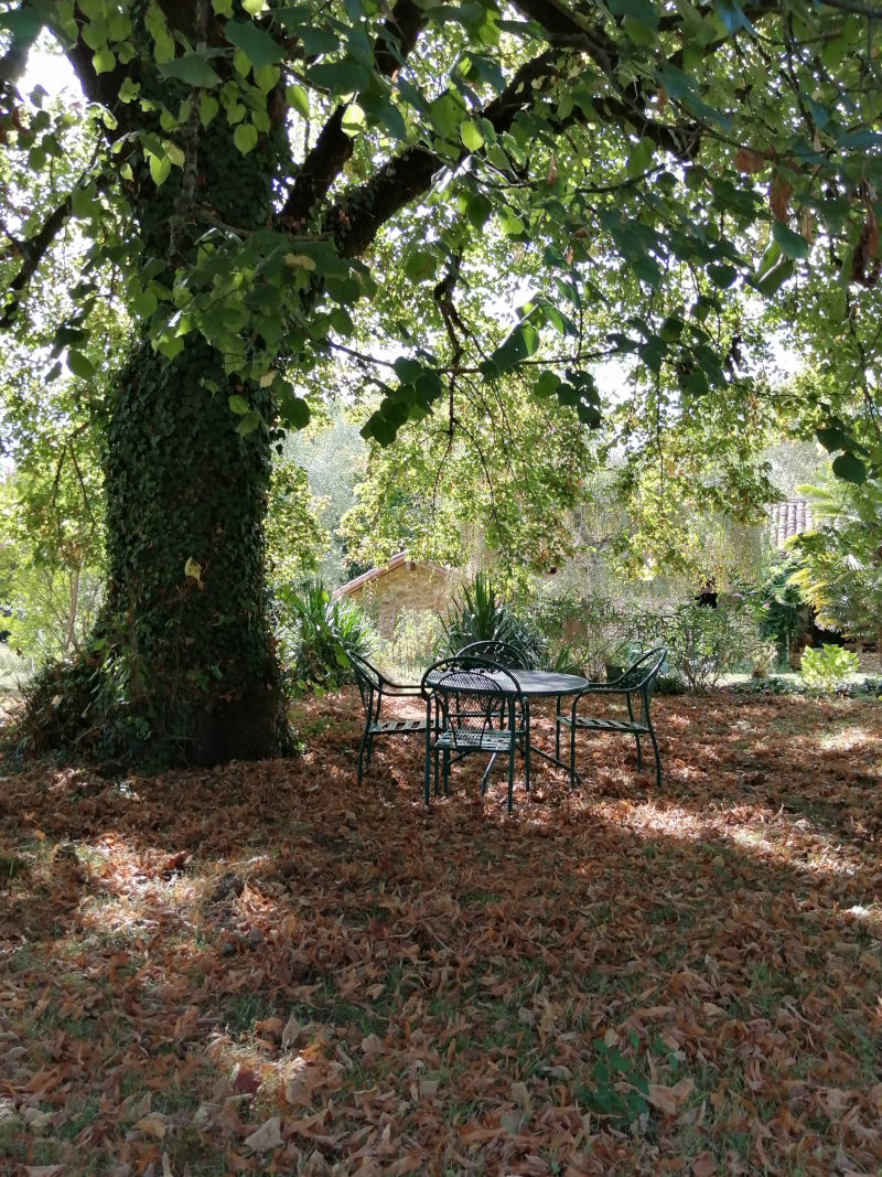 Madame Cathie FLORAT BERNARD, Coursac - photo 9