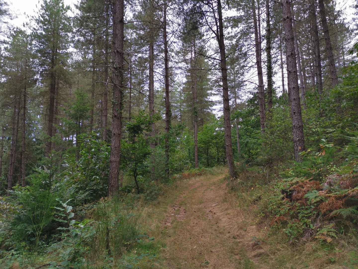 Circuit N°63 CC : Sentier "Histoire et Patrimoine", Saint-Amand-Jartoudeix - photo 6