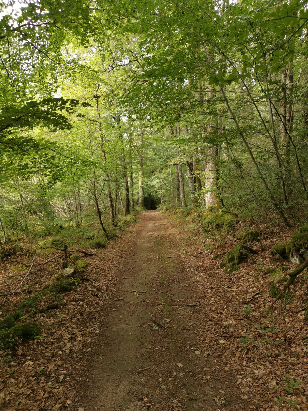 Circuit VTT N°43 CC : D’Ahun à Masgot en passant par Chamberaud, Chamberaud - photo 3