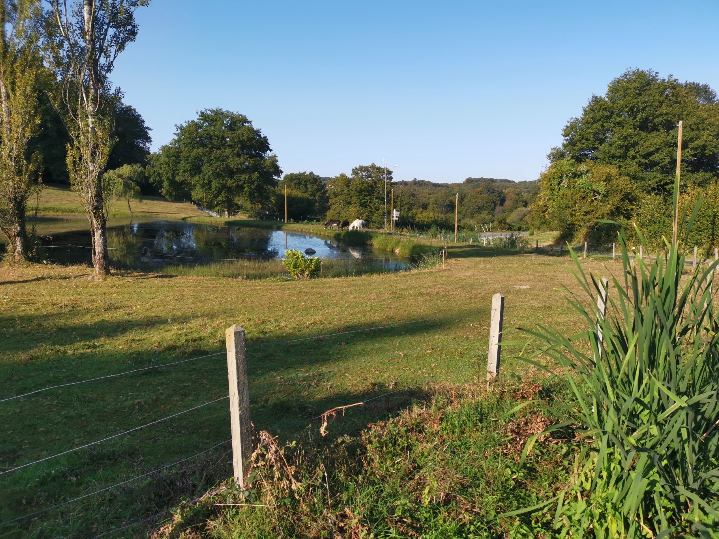 Circuit pédestre N°10 : "Sous Parsat et Champeaubert", Sous-Parsat - photo 2