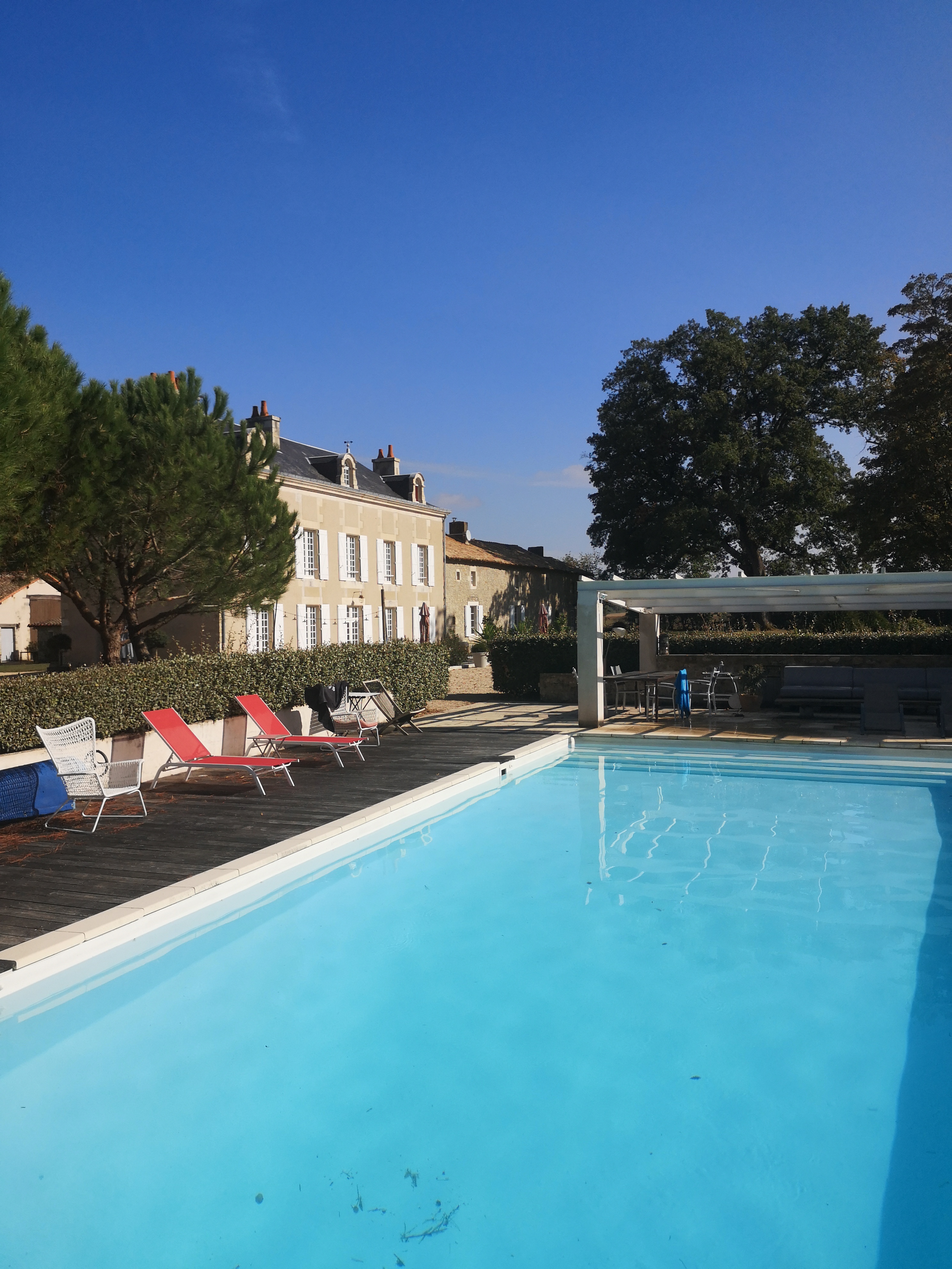 Domaine d'Ancia, Anché - photo 19