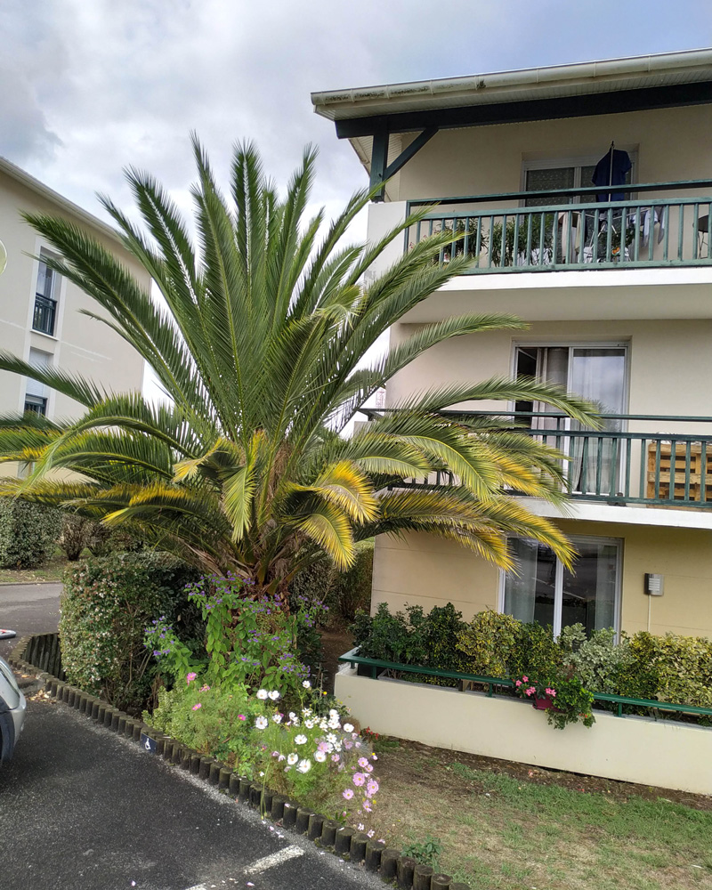 L'appartement Résidence Latine