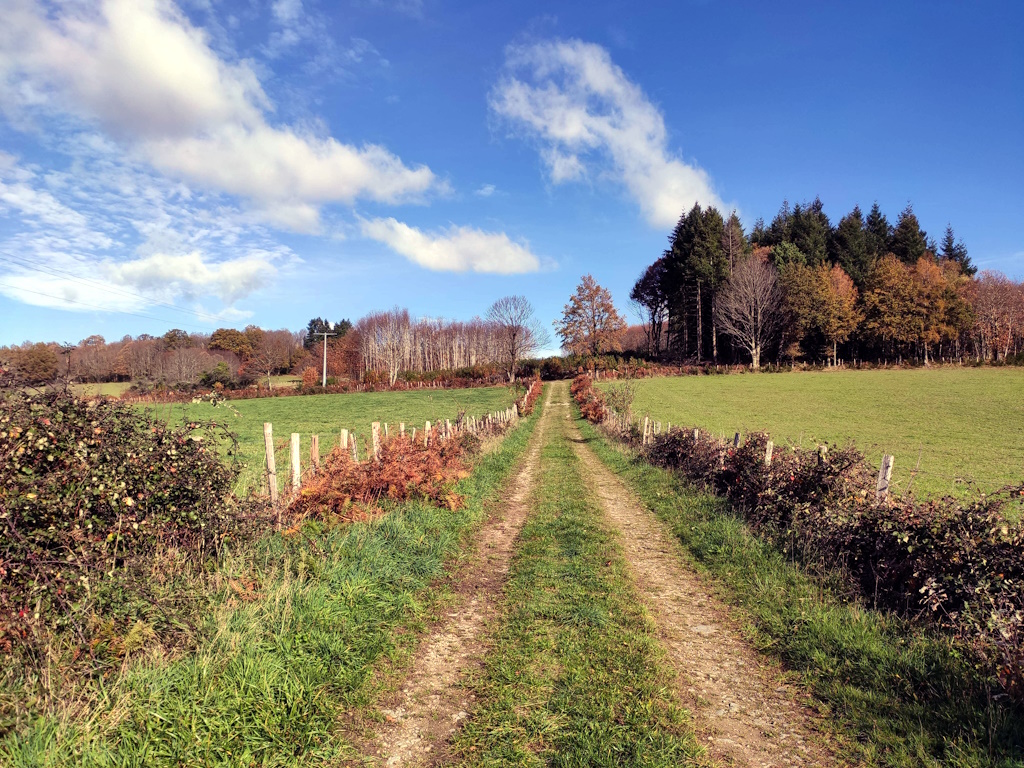 GRP®Monts et Barrages en Limousin - Boucle Entre Combade et Briance - Etape 3 - De Saint-Méard à Châteauneuf-la-Forêt, Châteauneuf-la-Forêt - photo 4