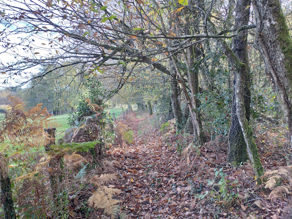 GRP®Monts et Barrages en Limousin - Boucle Entre Combade et Briance - Etape 3 - De Saint-Méard à Châteauneuf-la-Forêt, Châteauneuf-la-Forêt