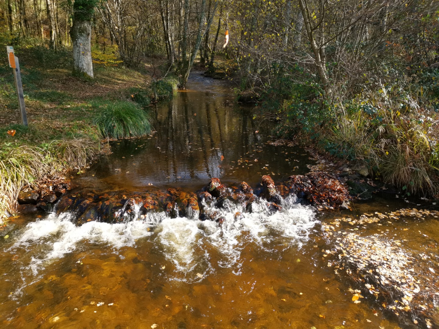 Circuit Pédestre N°45 : "Sentier Le Bois des Boeufs", Bourganeuf - photo 5