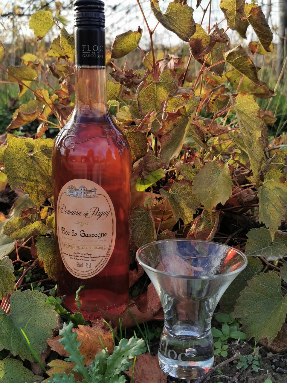 Domaine de Paguy - photo 2