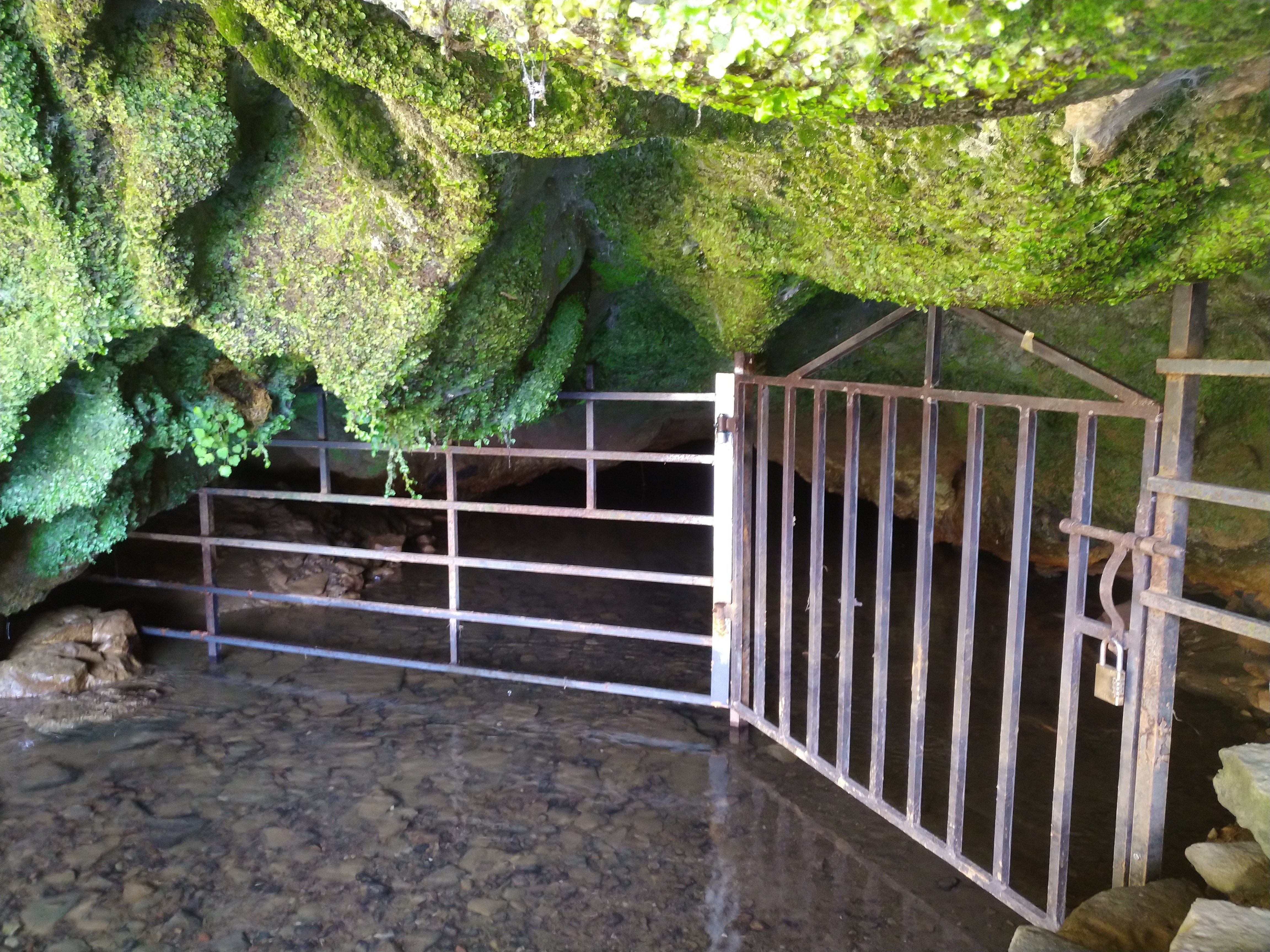 Rivière souterraine de Saint Christophe Sur Roc — photo 3