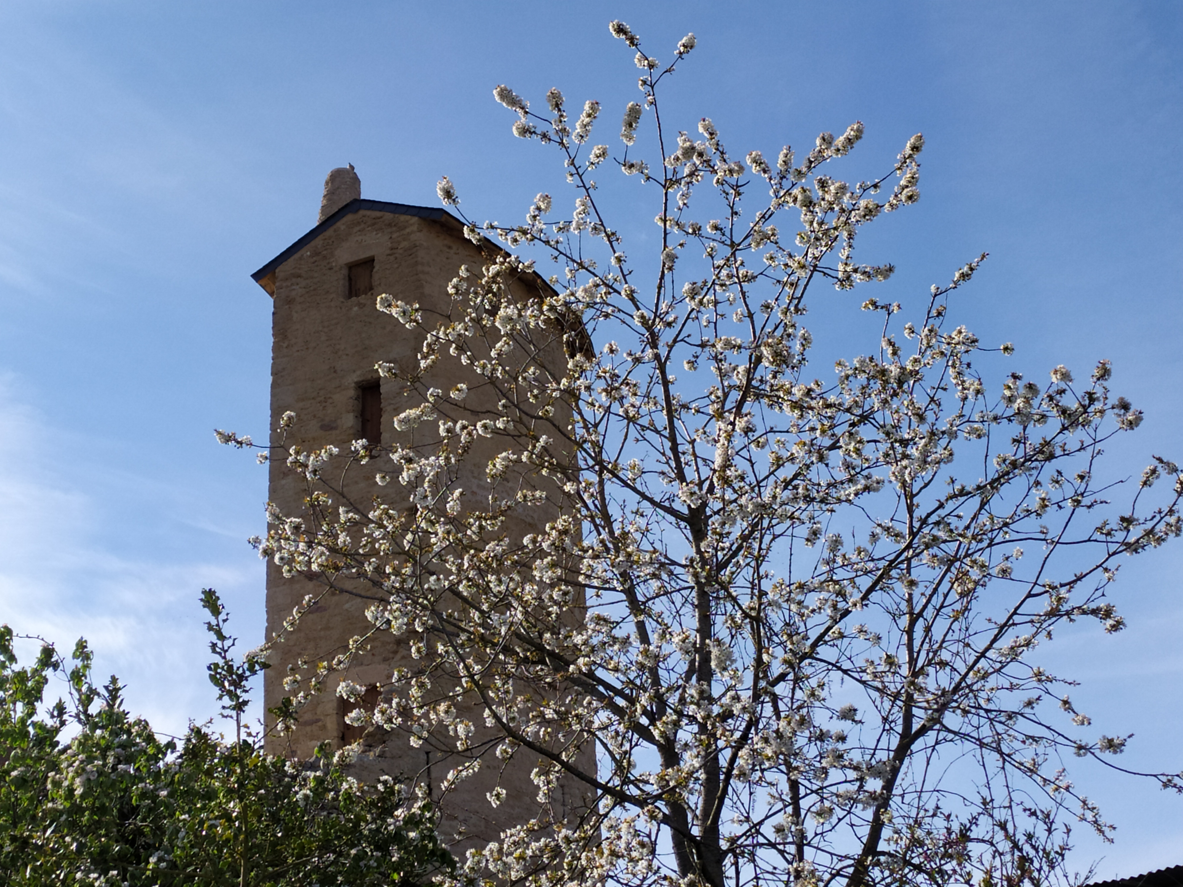 Chemins d'Aldéarde > circuit 1, Airvault