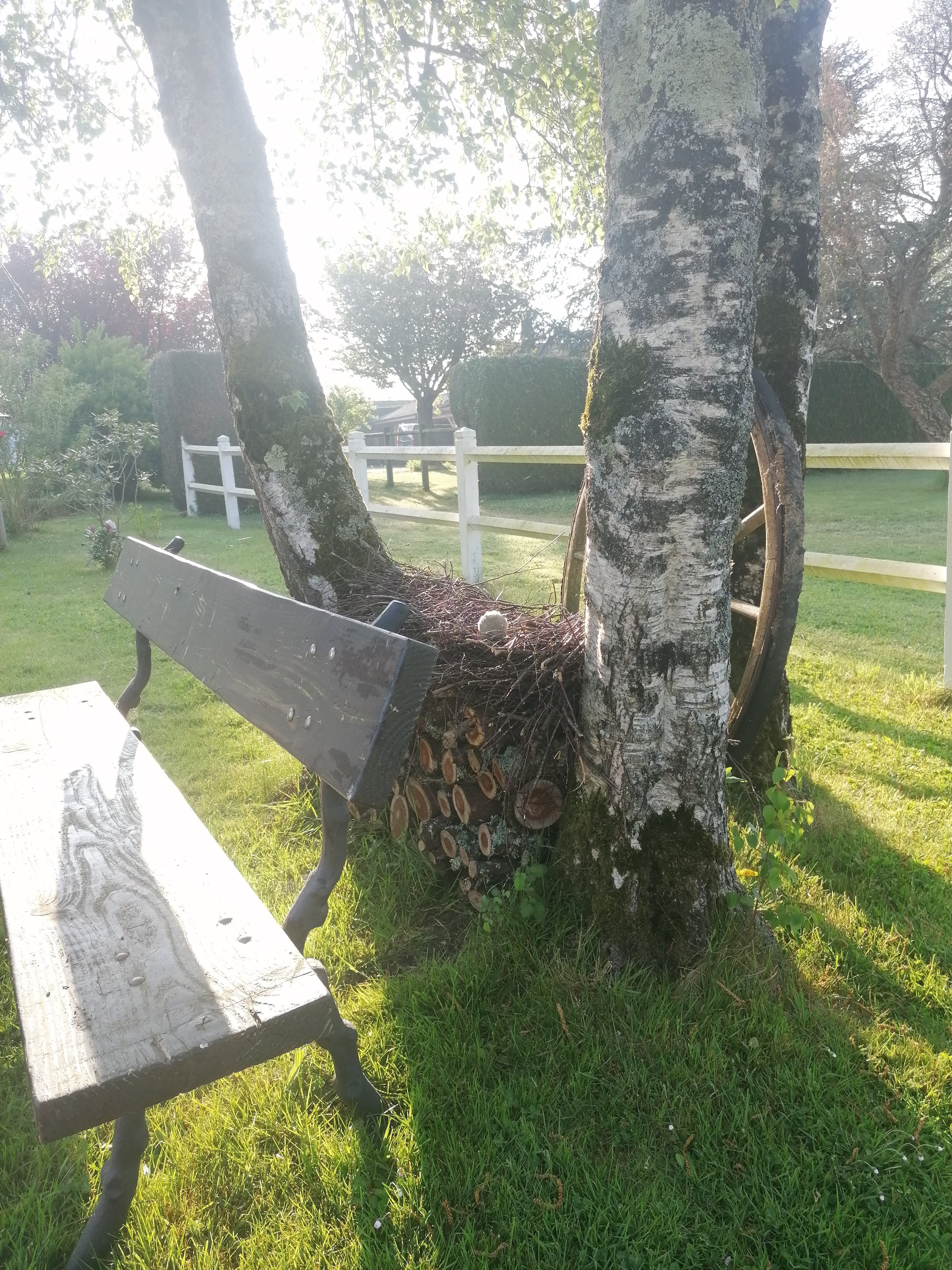 Chambres d'hôtes "Les Mésanges", Combrand - photo 28