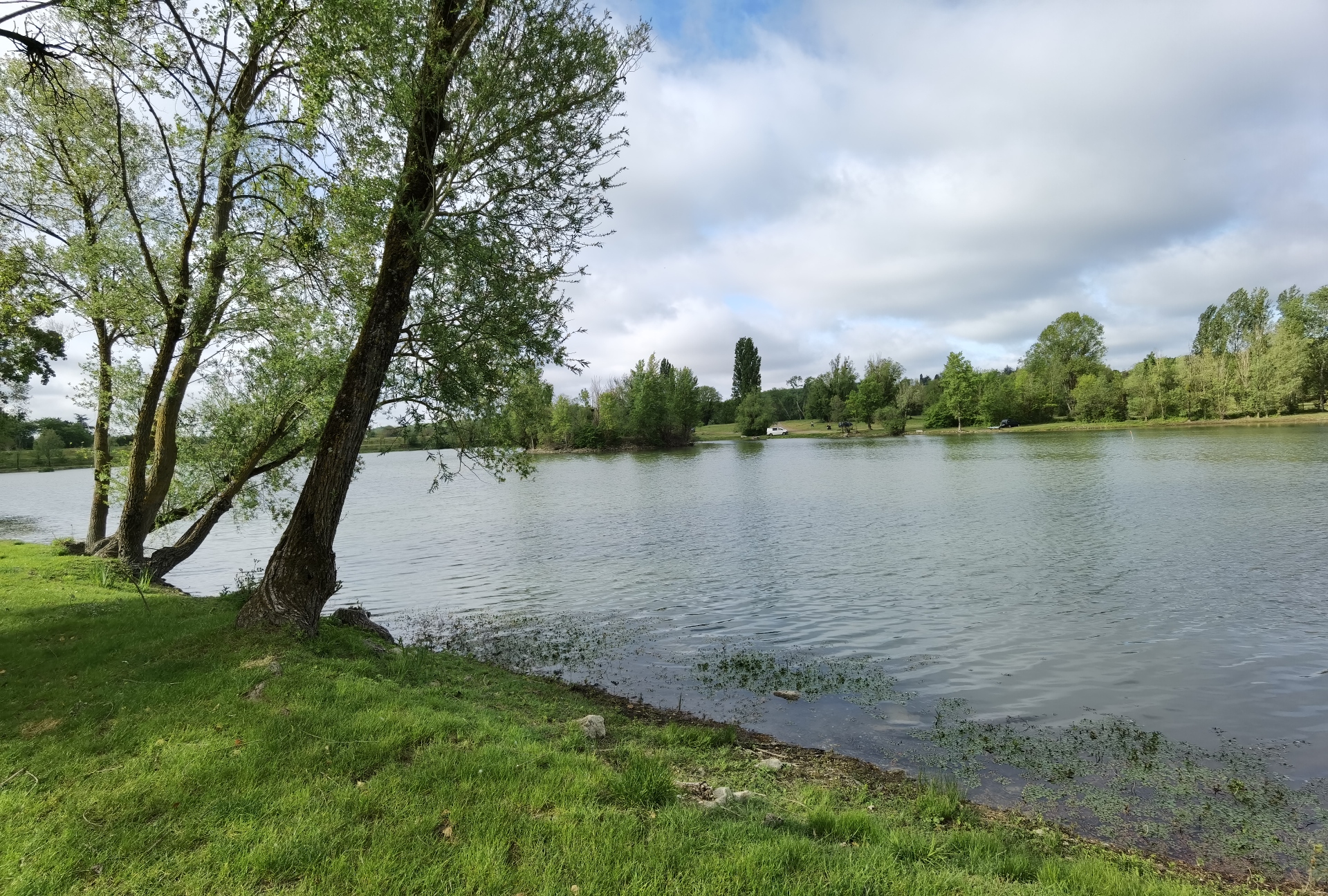 Etang de Pêche Communal, Bonnes - photo 6