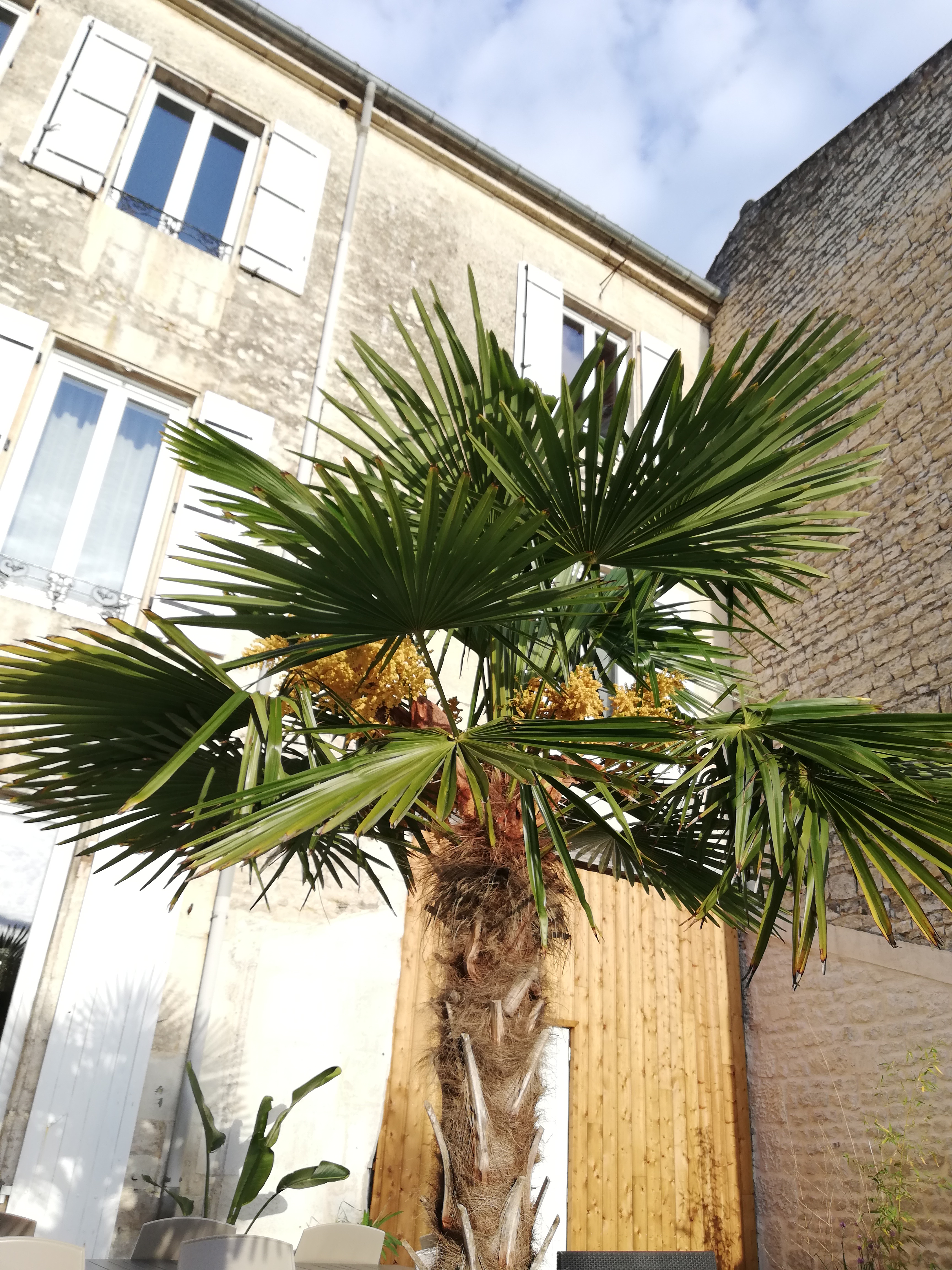 L'Angély — photo 3