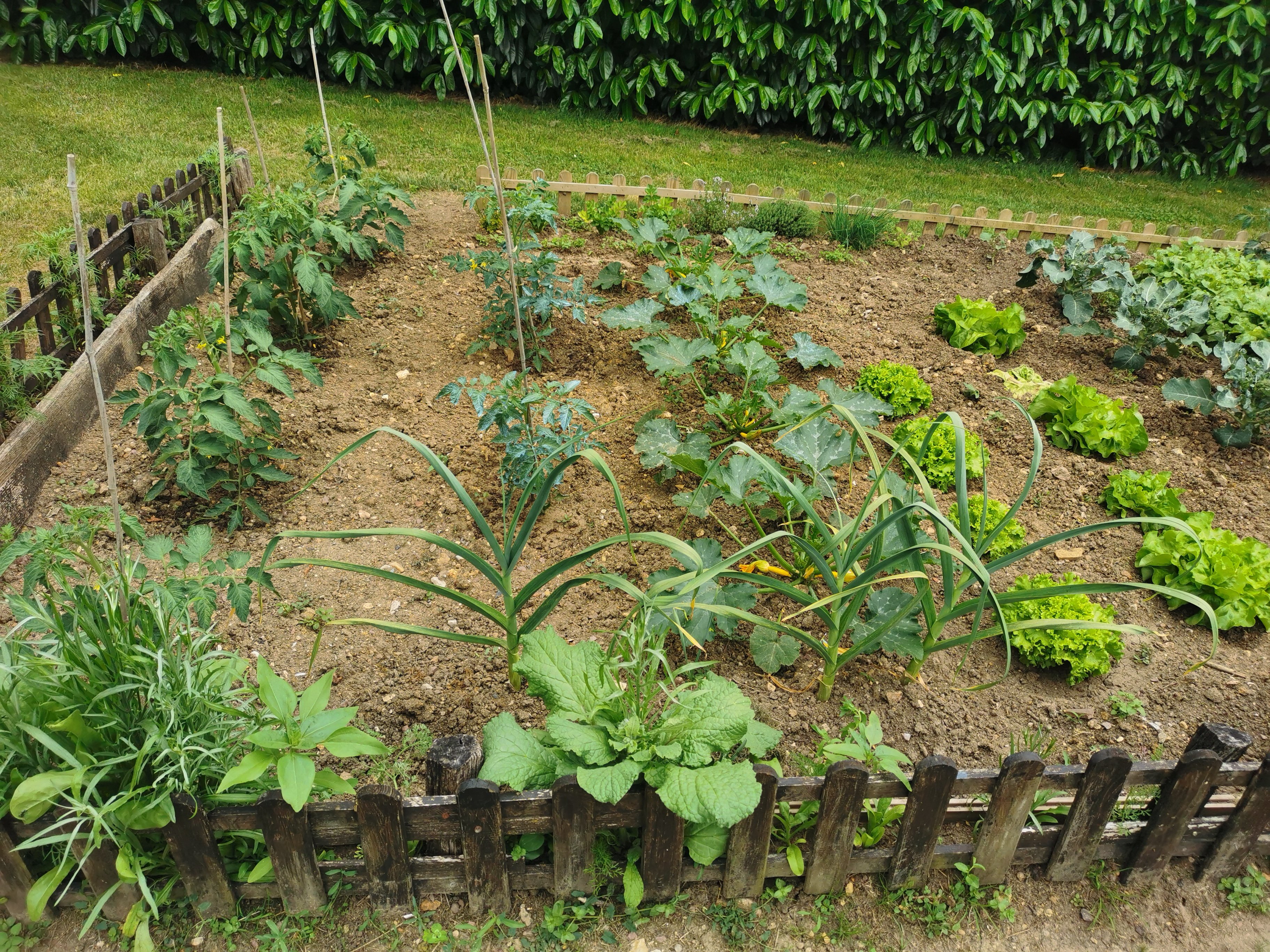 Domaine des Petites Minaudières, Senillé-Saint-Sauveur - photo 20