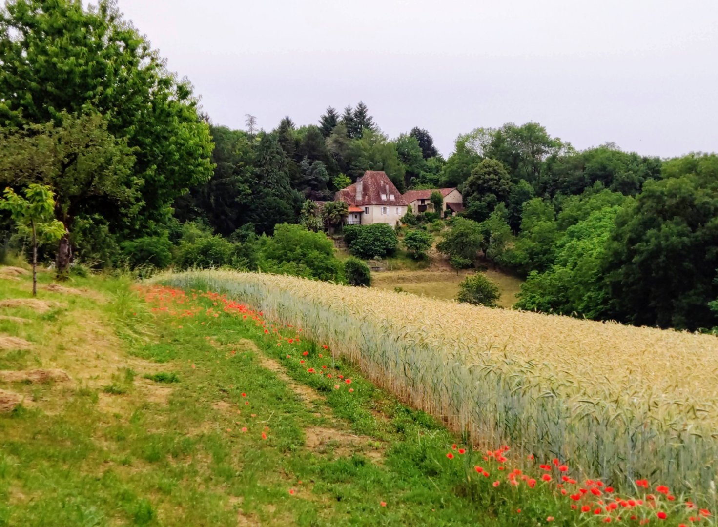 La Fontaine du Mas - Chambres d'hôtes