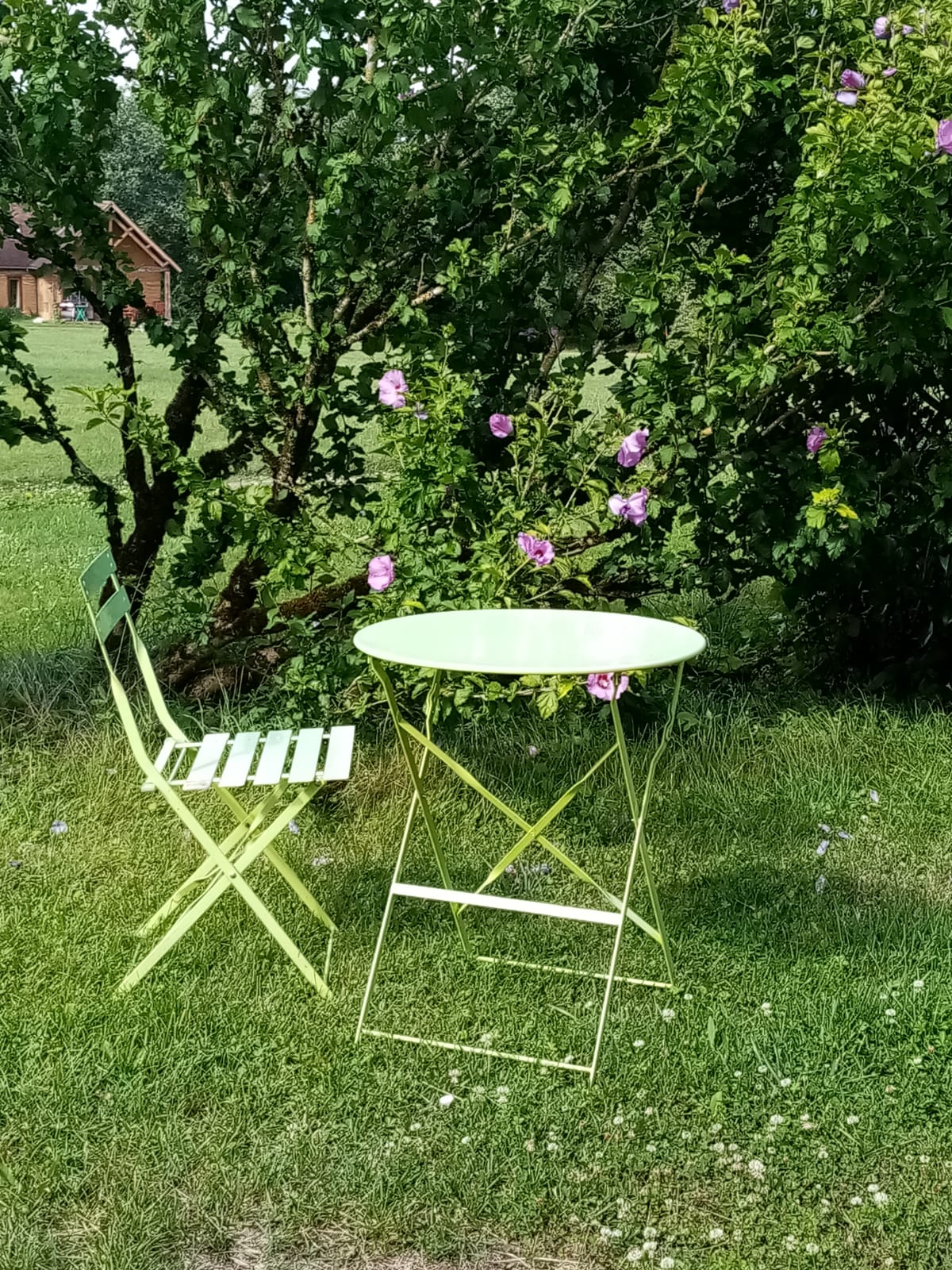 Gîte Afrique de la Ferme en Terre, La Bussière - photo 10