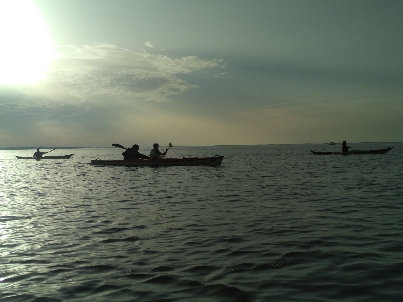 Sortie en kayak de mer - Découverte du delta de l'Eyre et du Bassin d'Arcachon