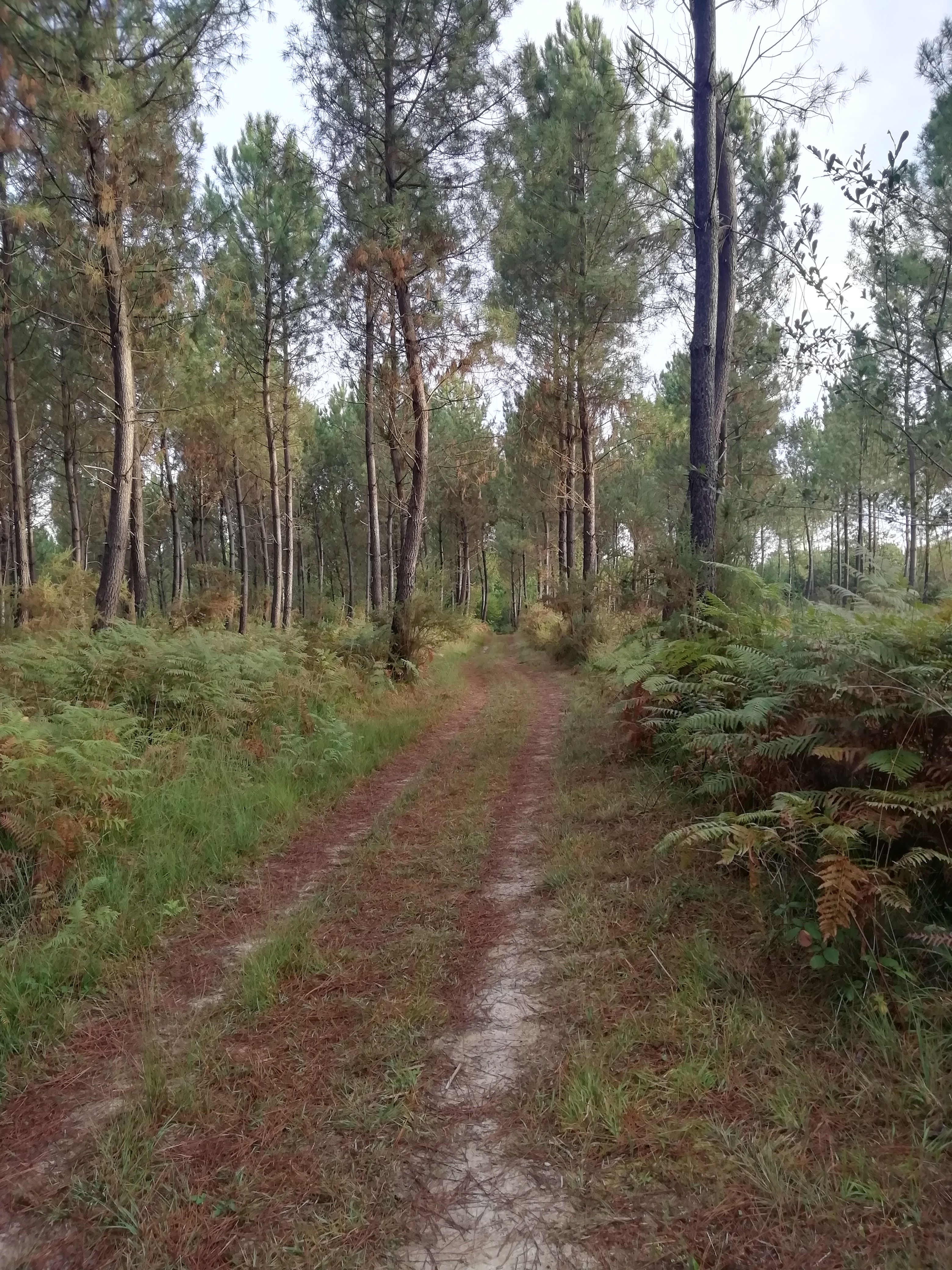 Le chai de Serres, Artassenx - photo 5