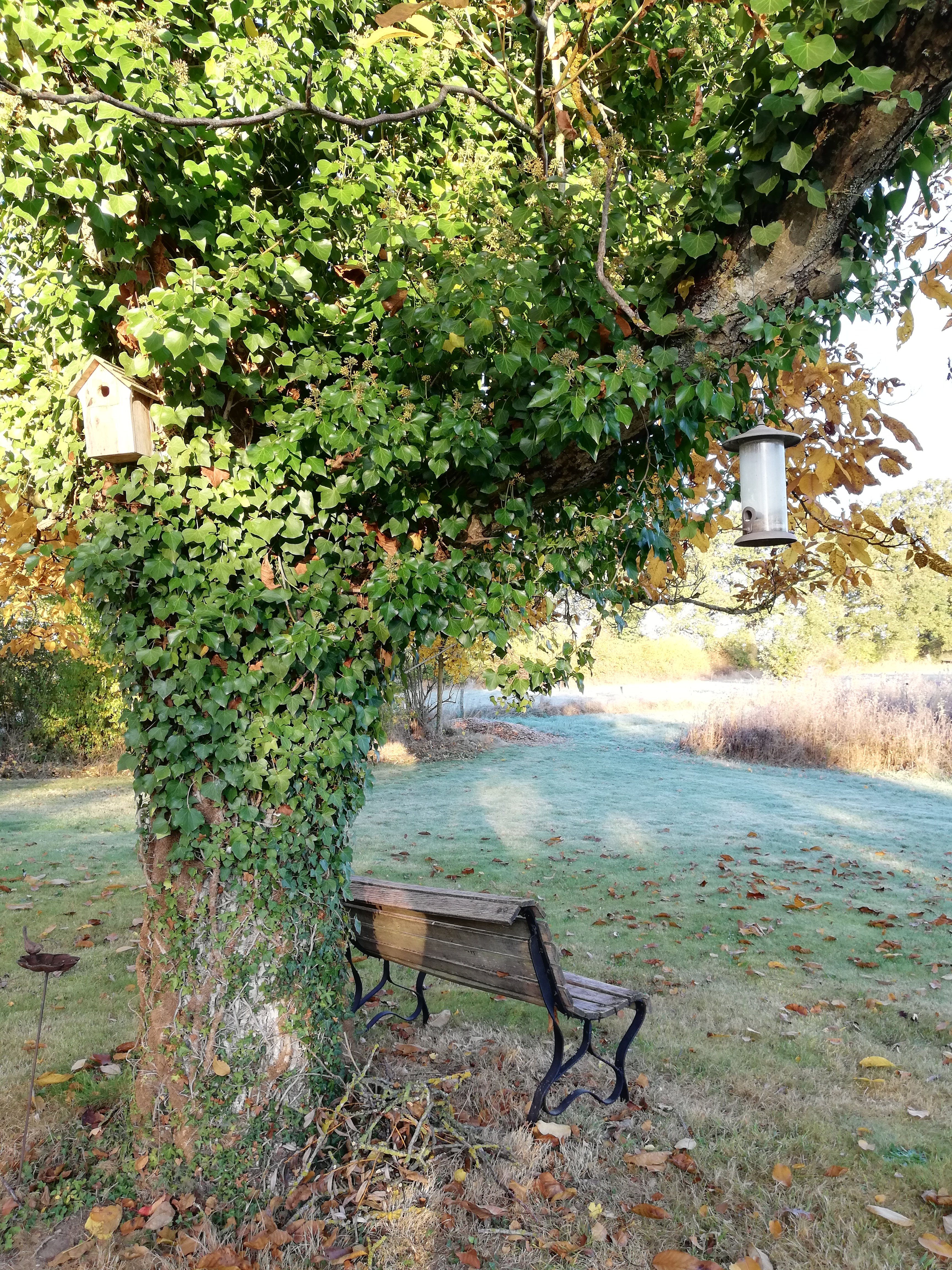 La Cabane, Montmorillon - photo 11