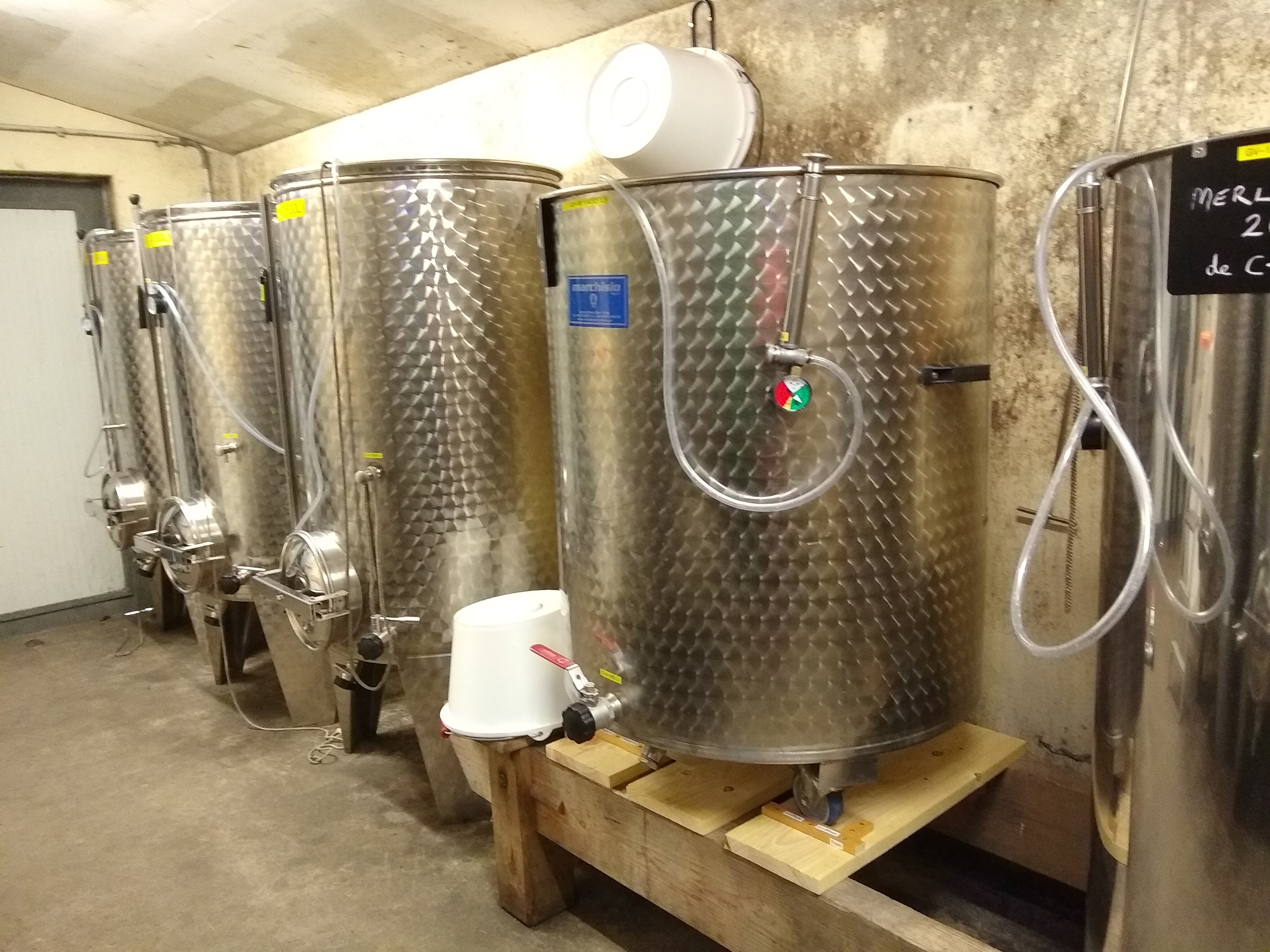 Paradise Rescued - photo 4